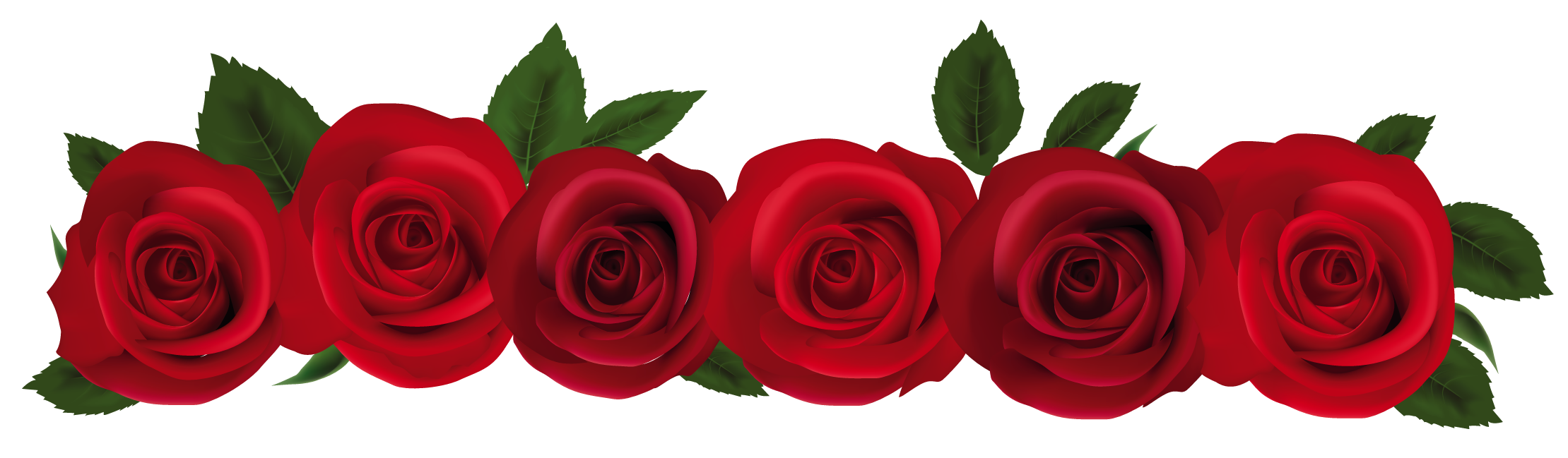 red roses clipart - photo #34