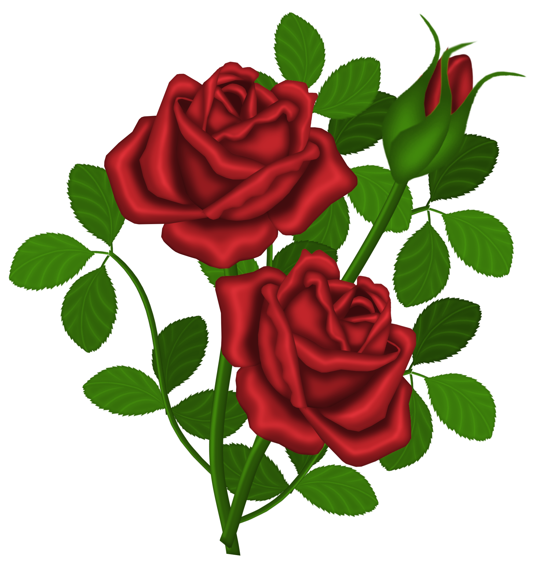 clipart roses red - photo #28