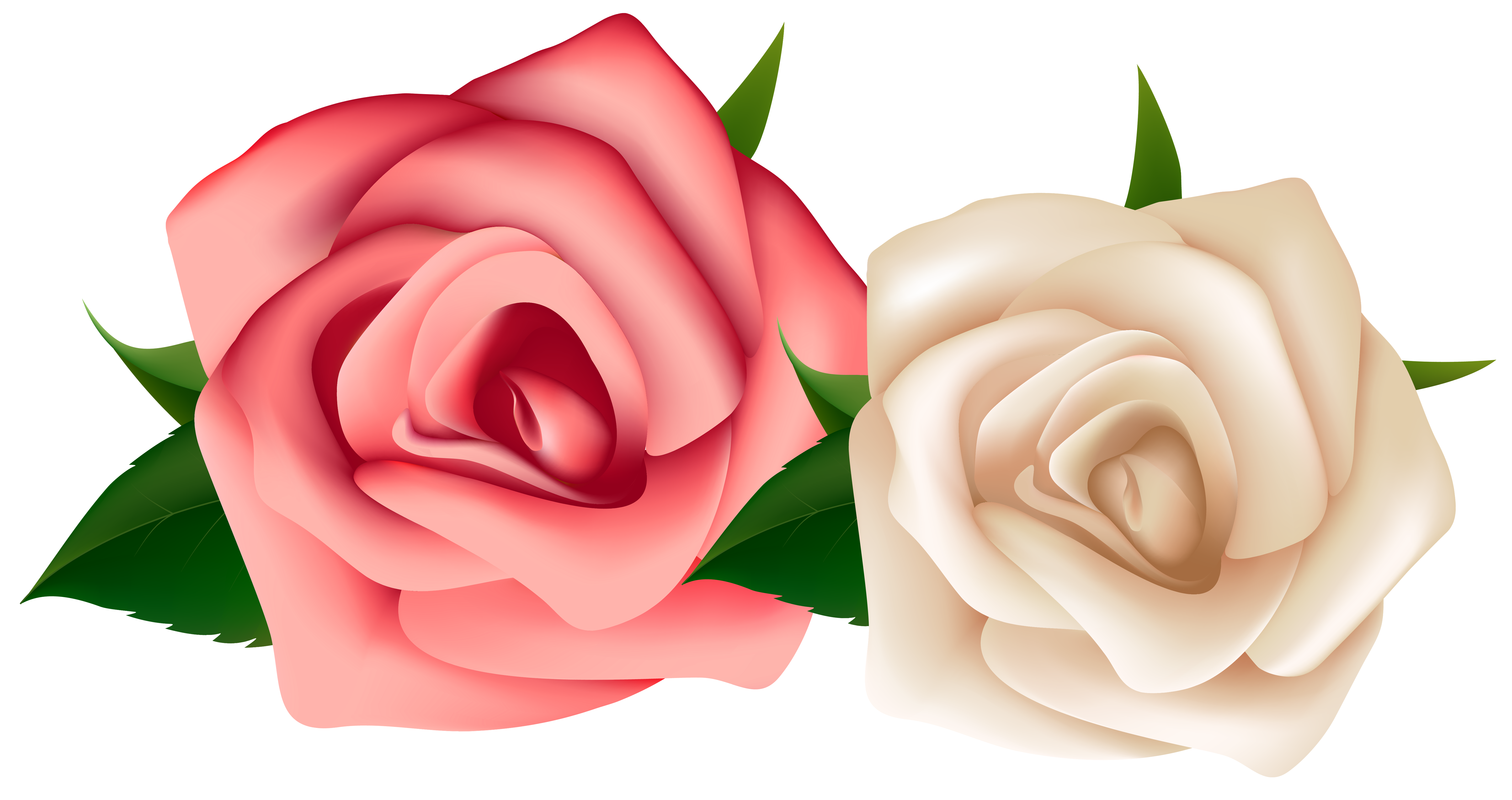 free clipart white roses - photo #44