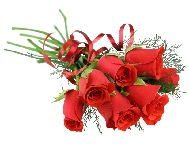 Rose_Red_Bouquet_PNG_Picture.png?m=13996