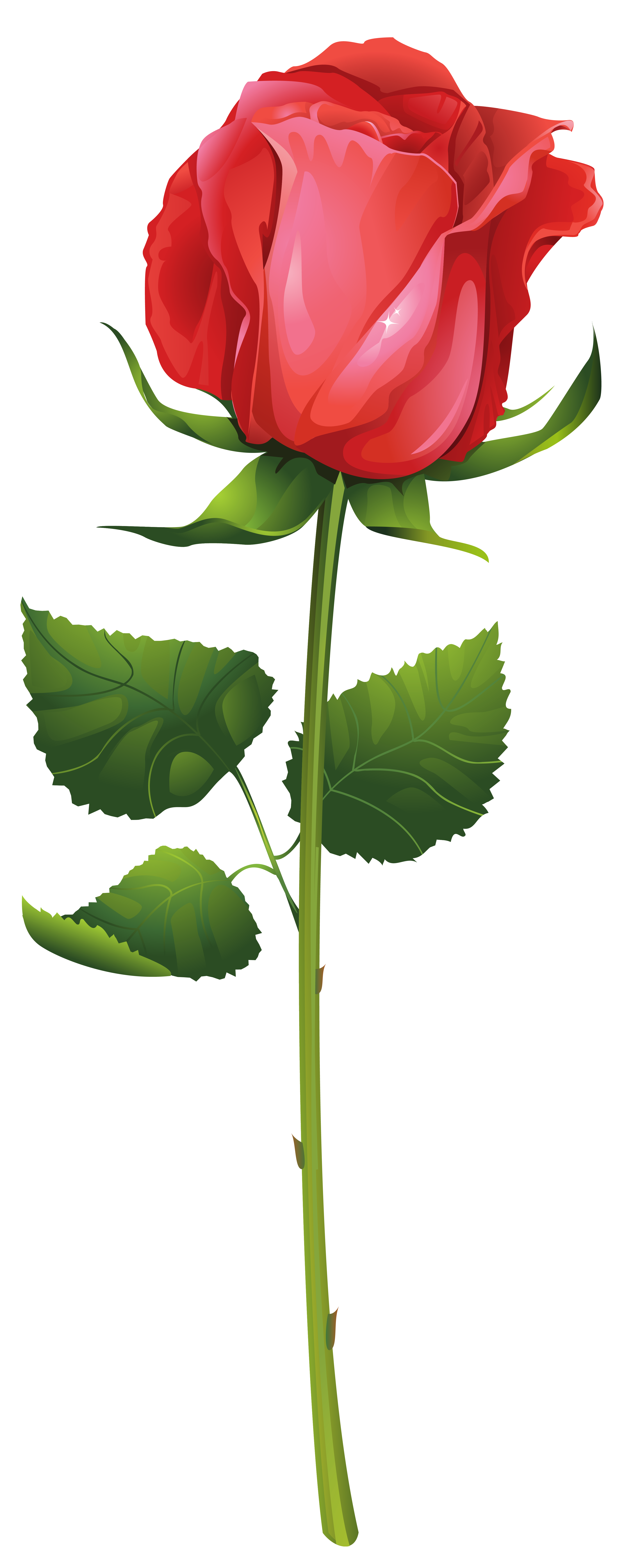 Rose with Stem PNG Clip Art Image | Gallery Yopriceville - High-Quality