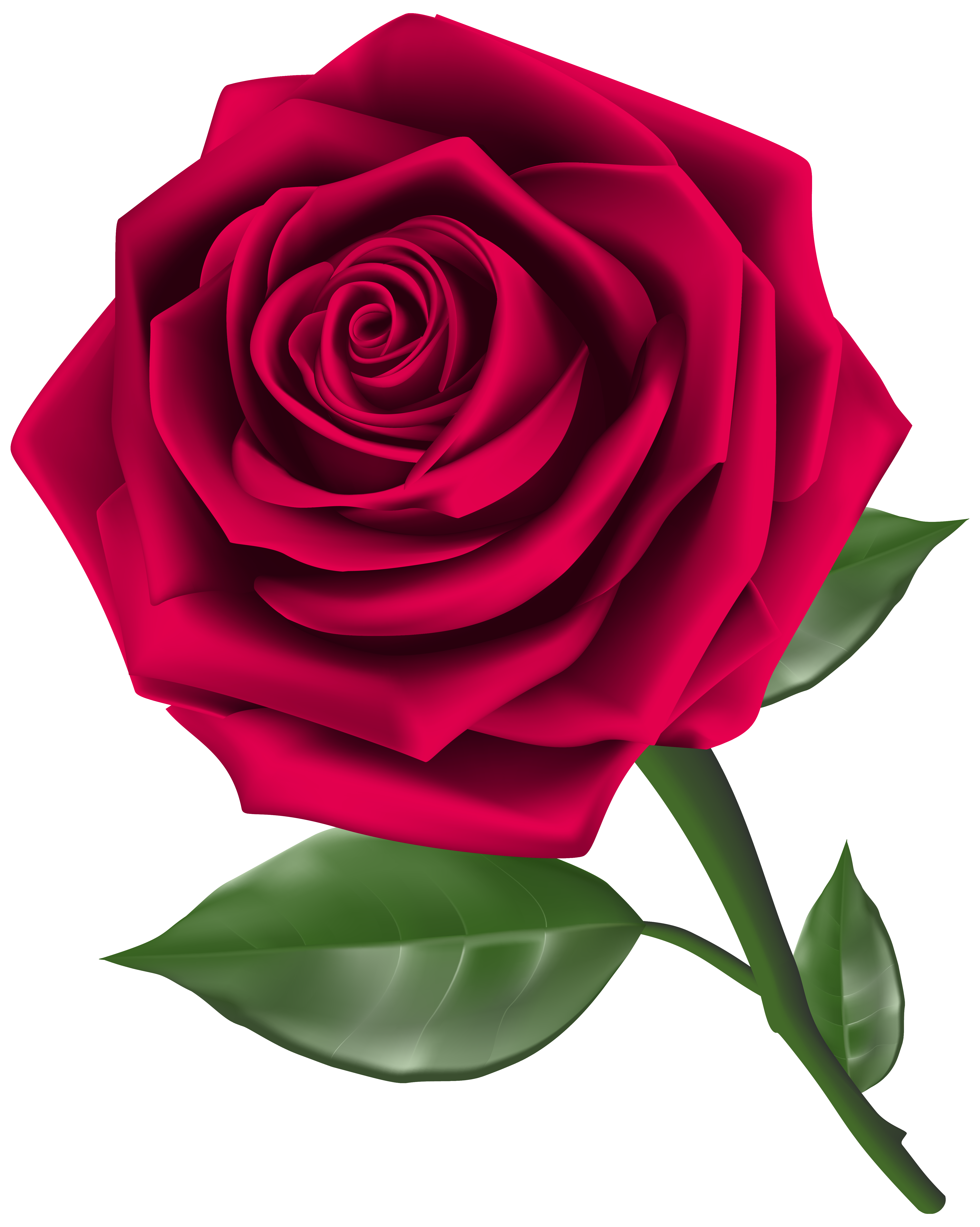 rose clip art sms - photo #46