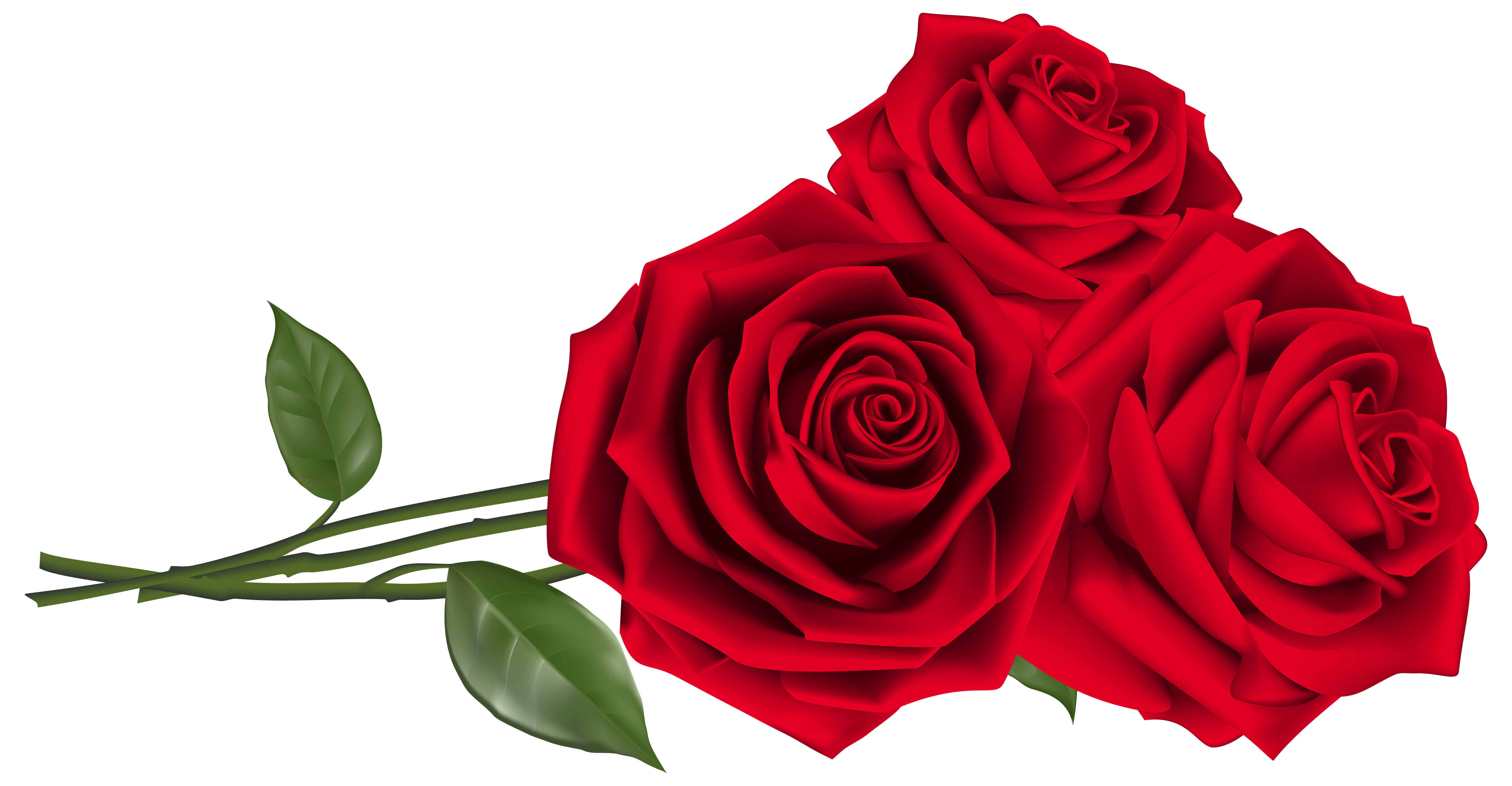 clipart images of red roses - photo #35