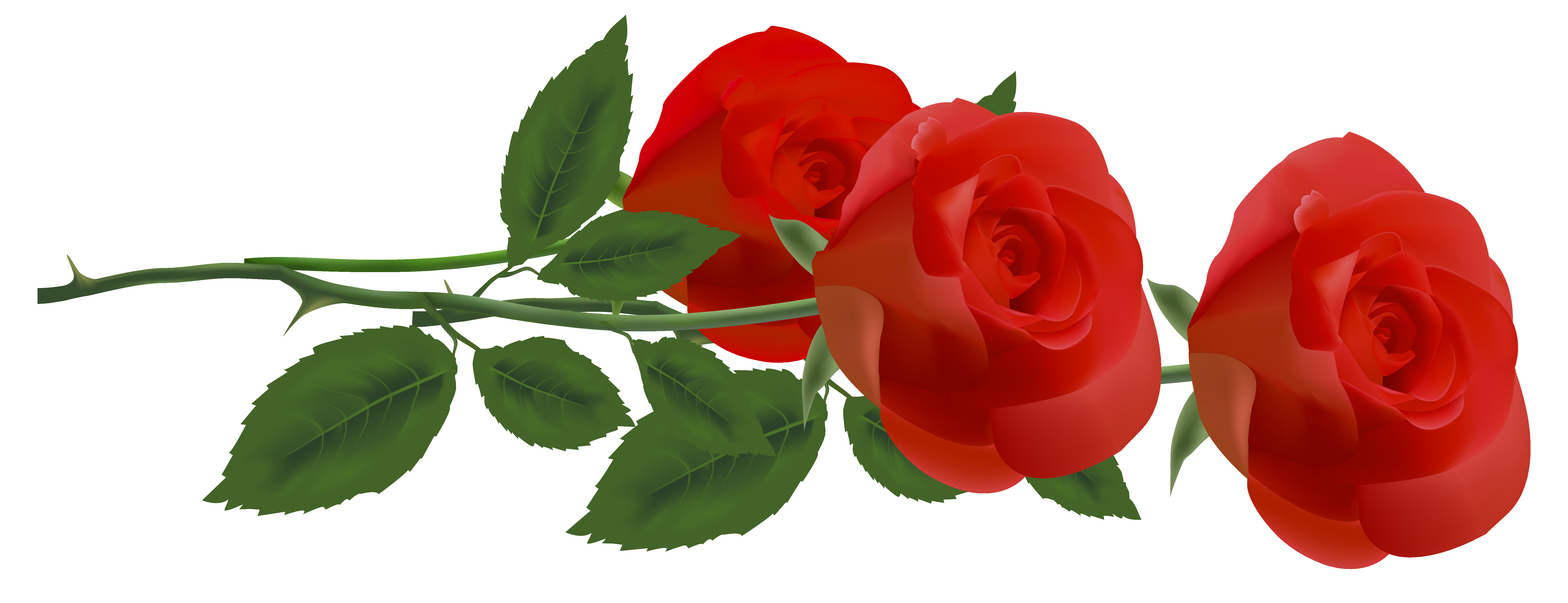 clipart images of red roses - photo #30