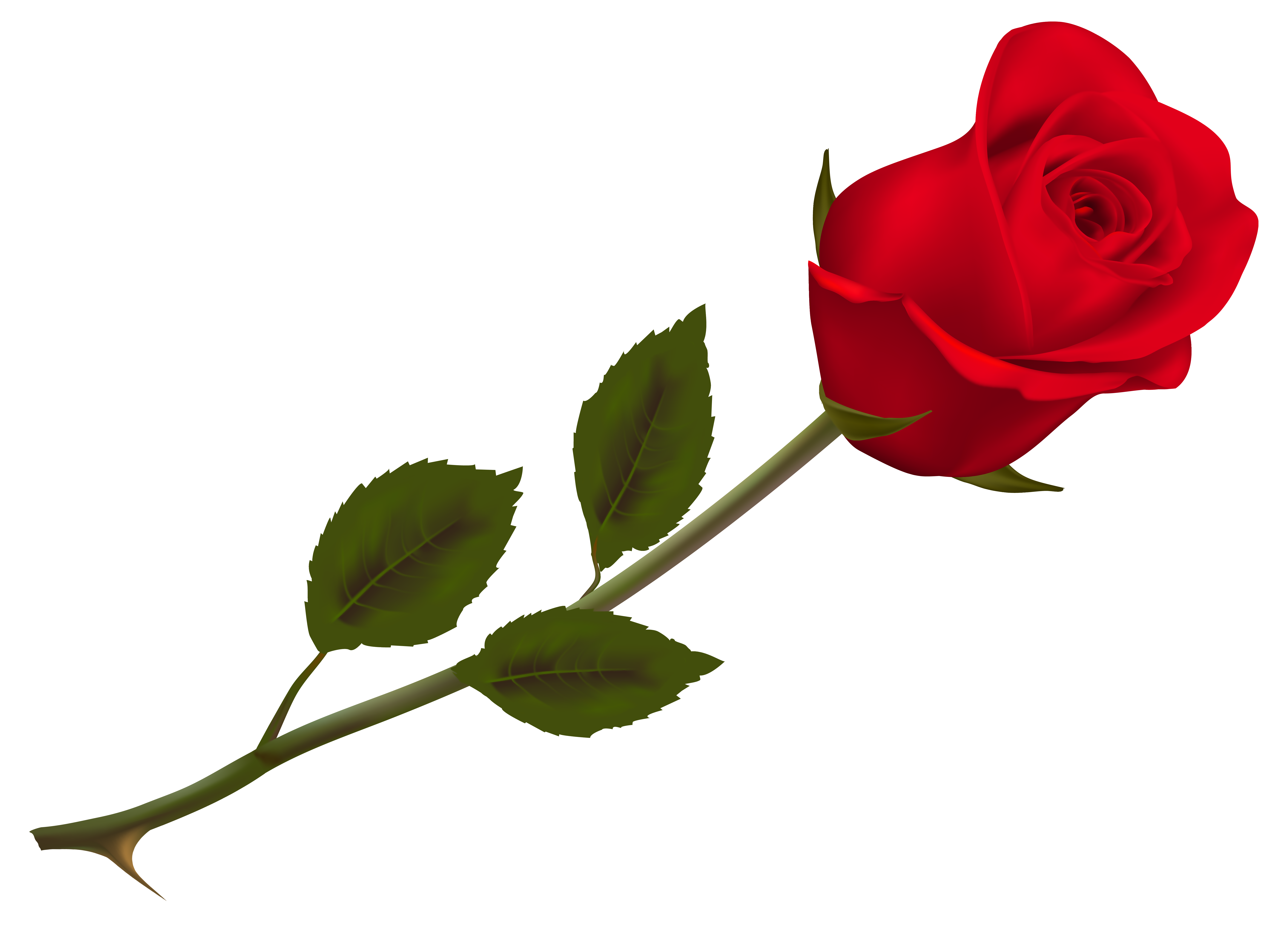 clipart rose rouge - photo #17