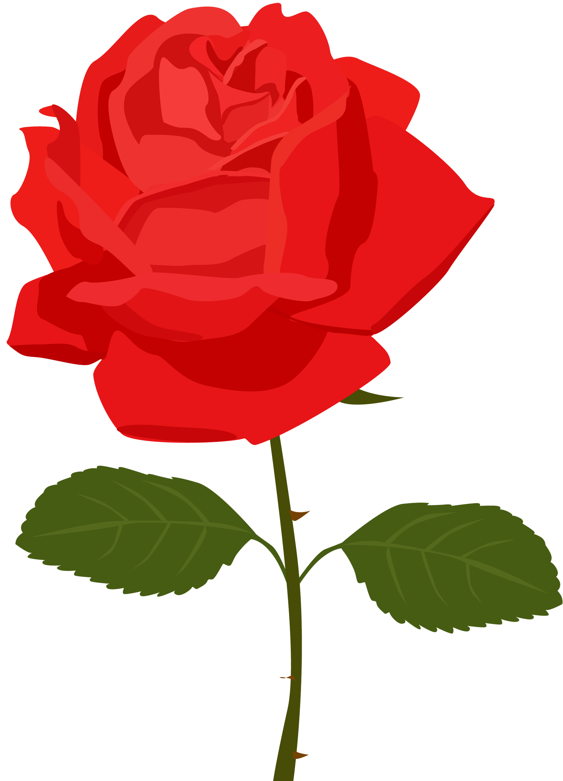 clipart rose red flower - photo #10