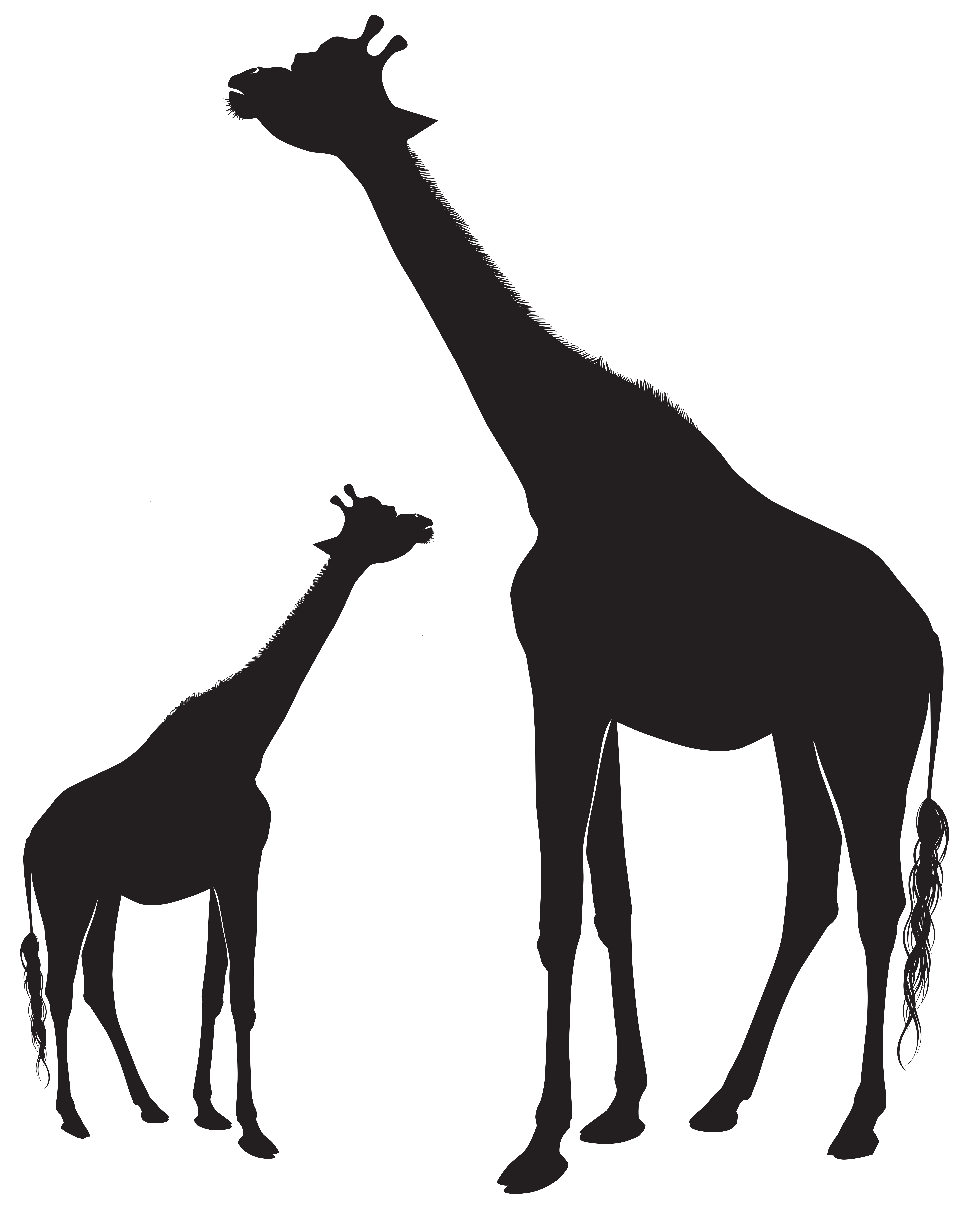 Giraffes Silhouette PNG Clip Art Image | Gallery Yopriceville - High
