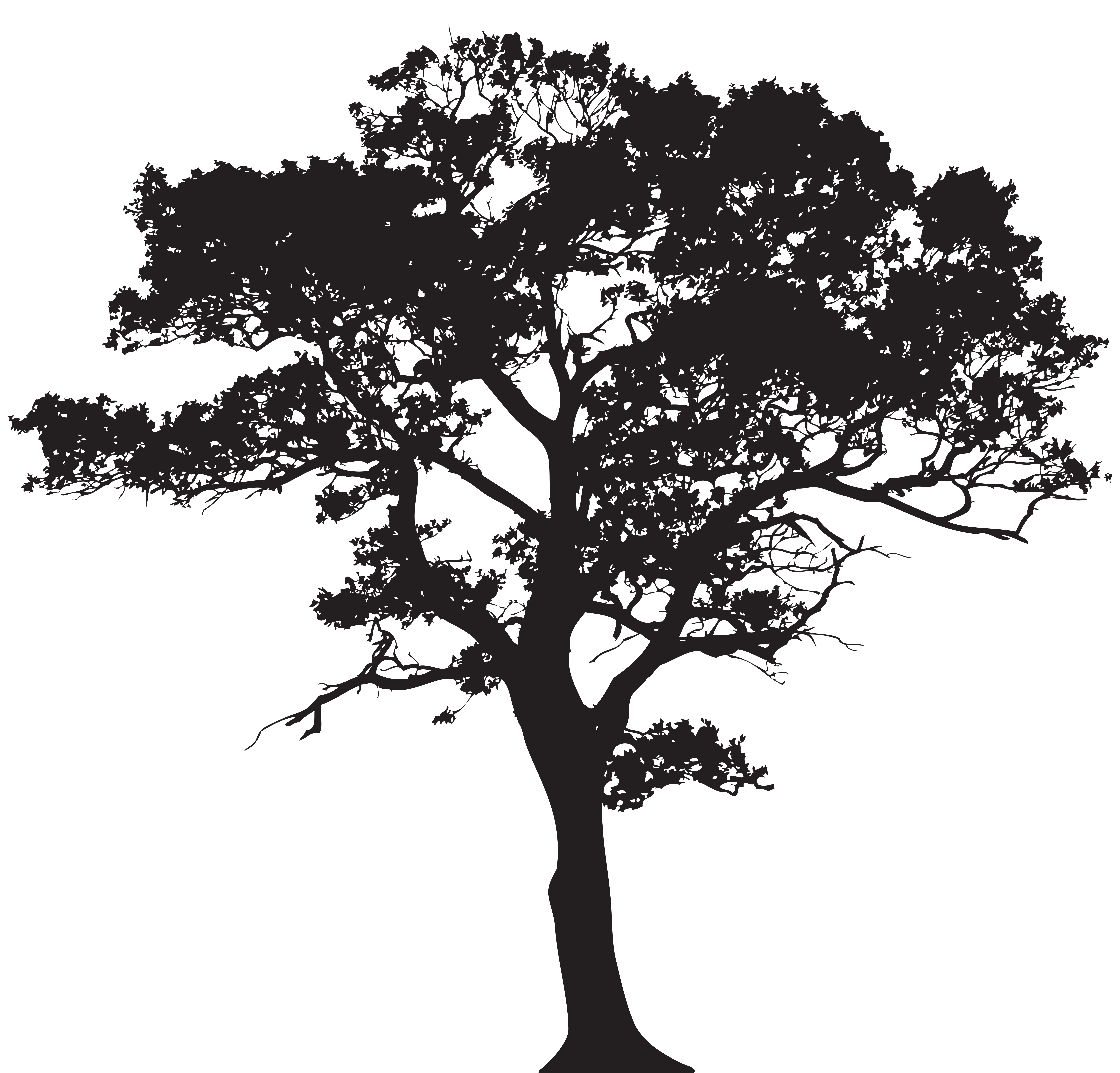 clip art tree silhouette - photo #22