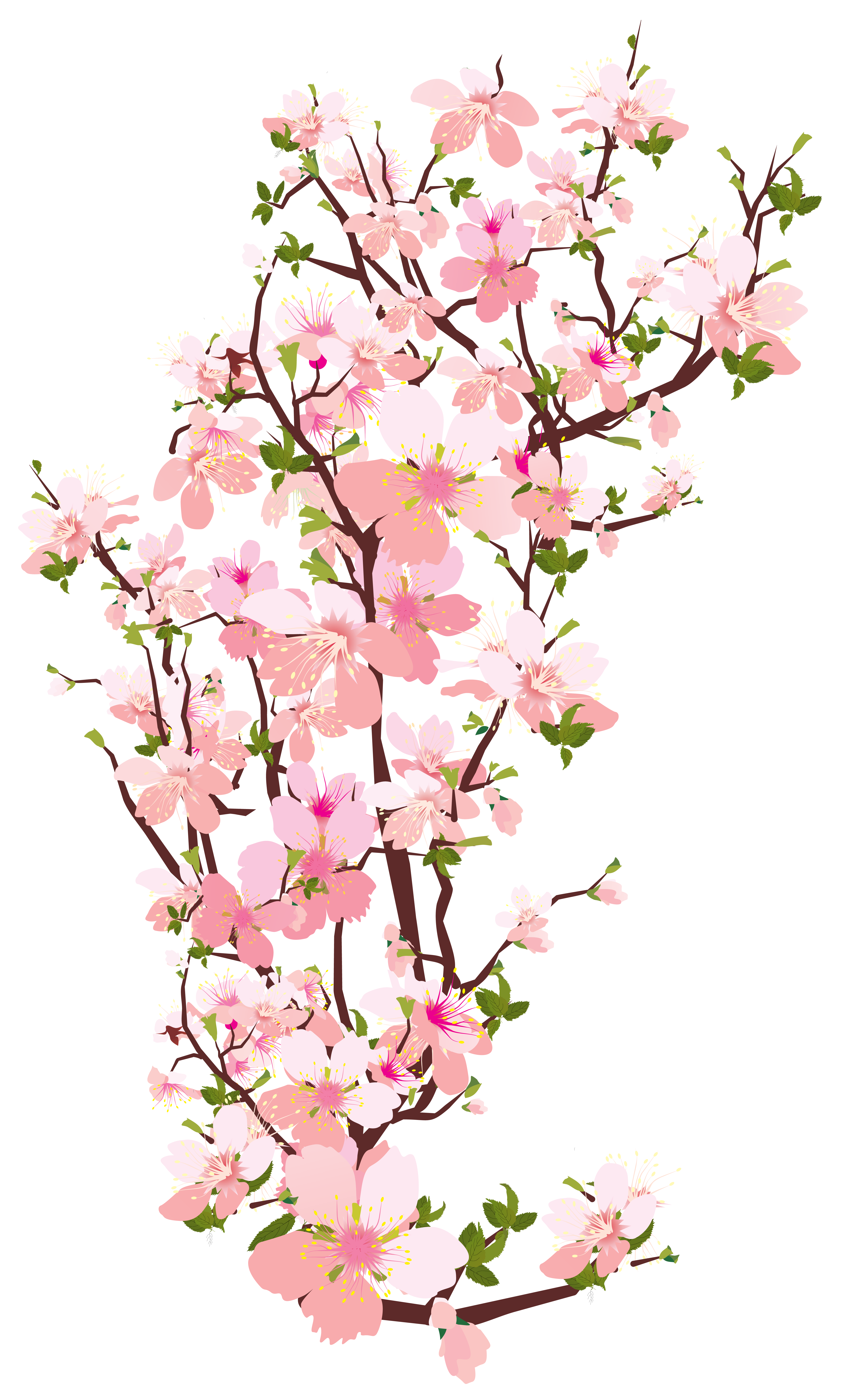 Flores... - Página 30 Spring_Tree_Branch_Transparent_PNG_Clip_Art_Image