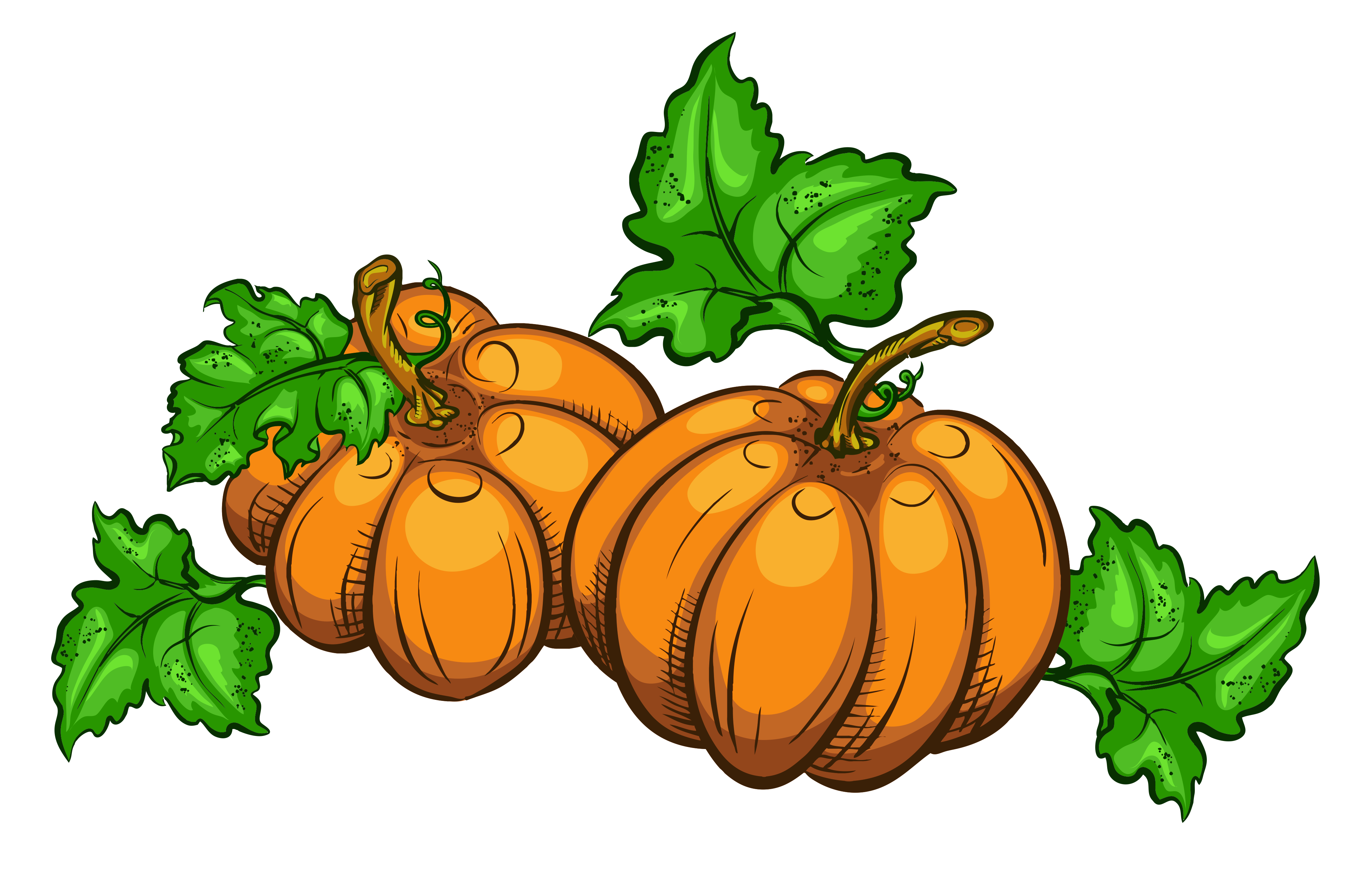 Clip Art Pumpkins Clipart transparent pumpkins png clipart picture view full size