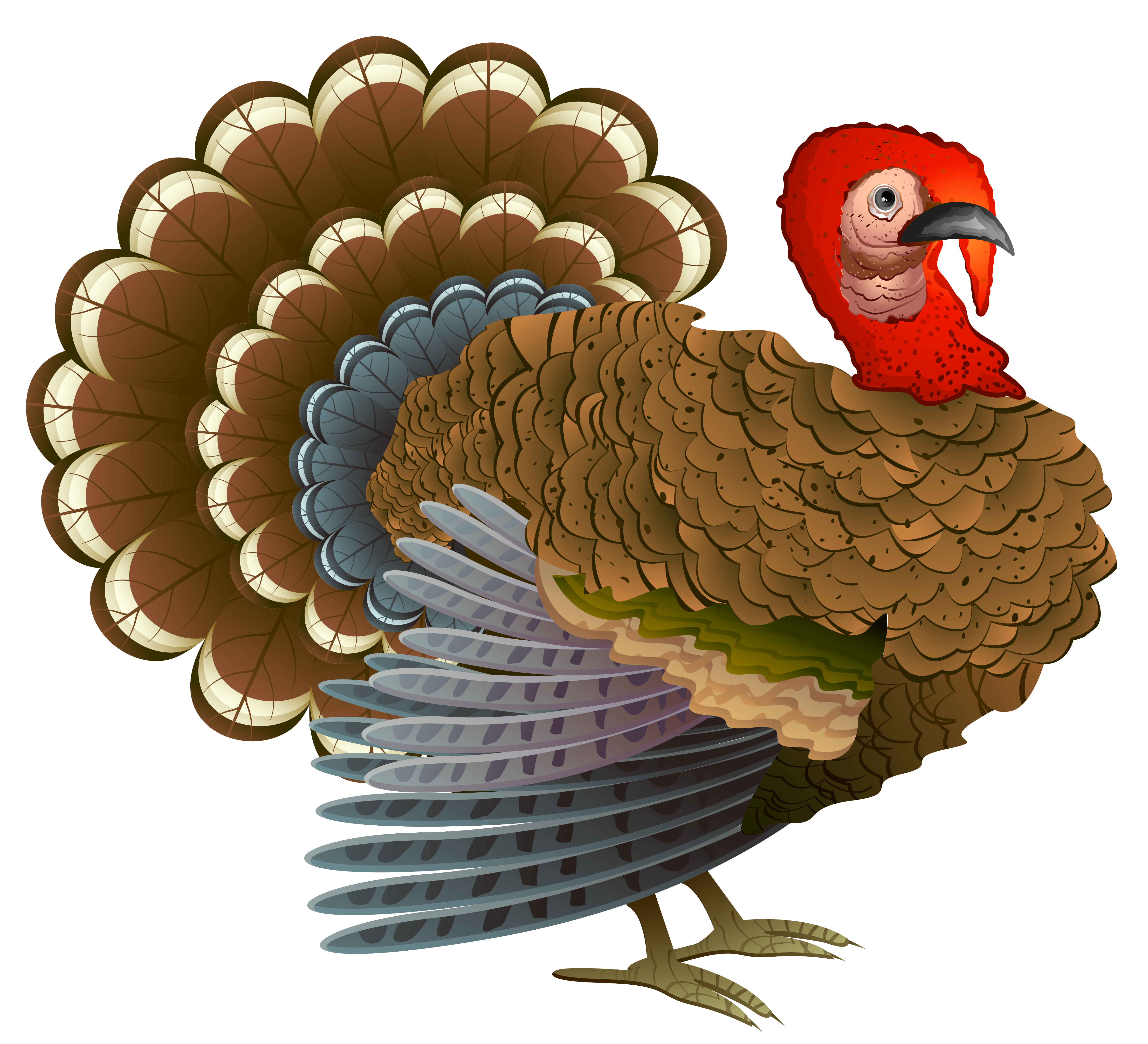 free clip art images thanksgiving - photo #15