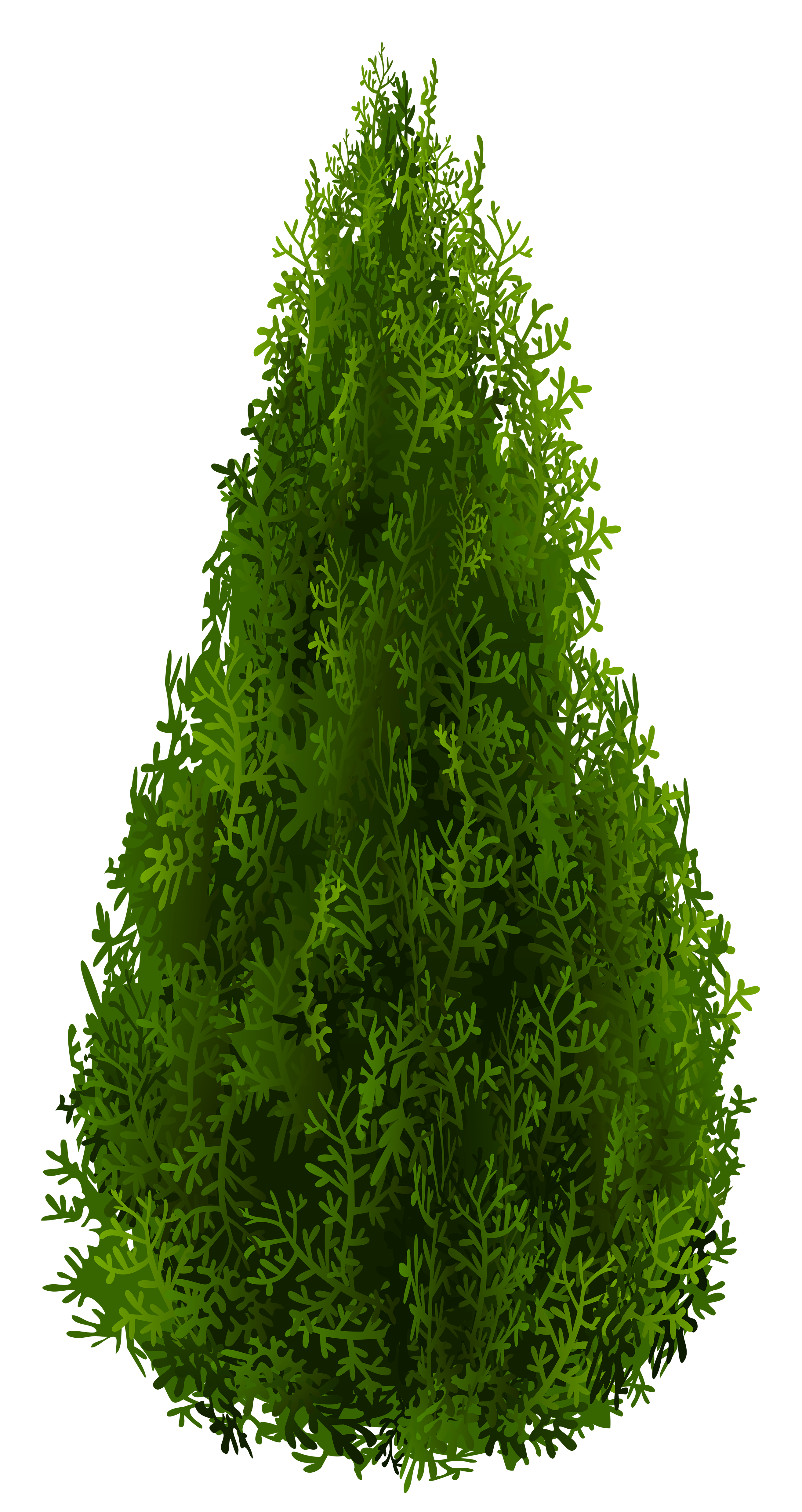 clip art cypress tree - photo #30