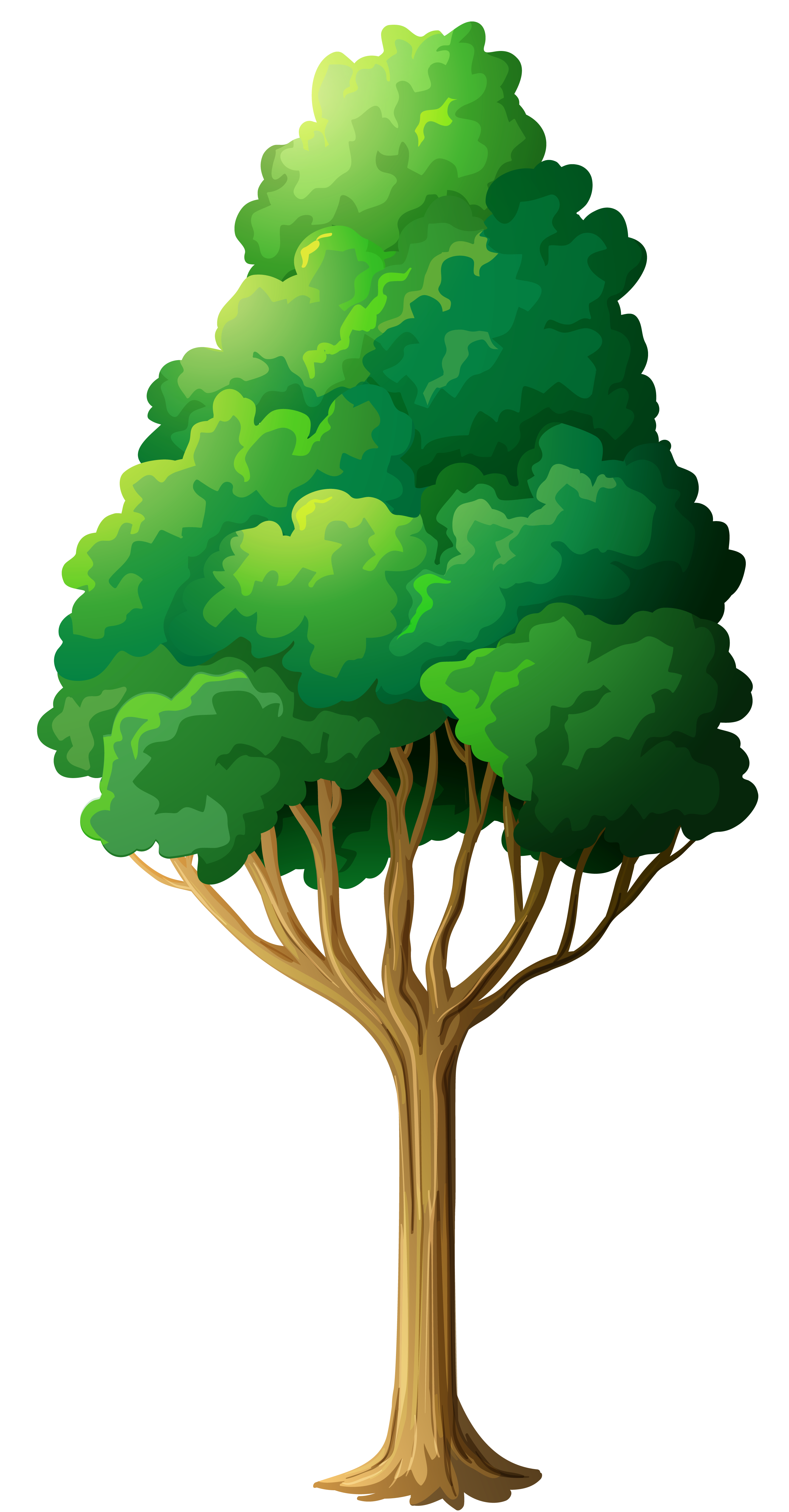png clipart tree - photo #4
