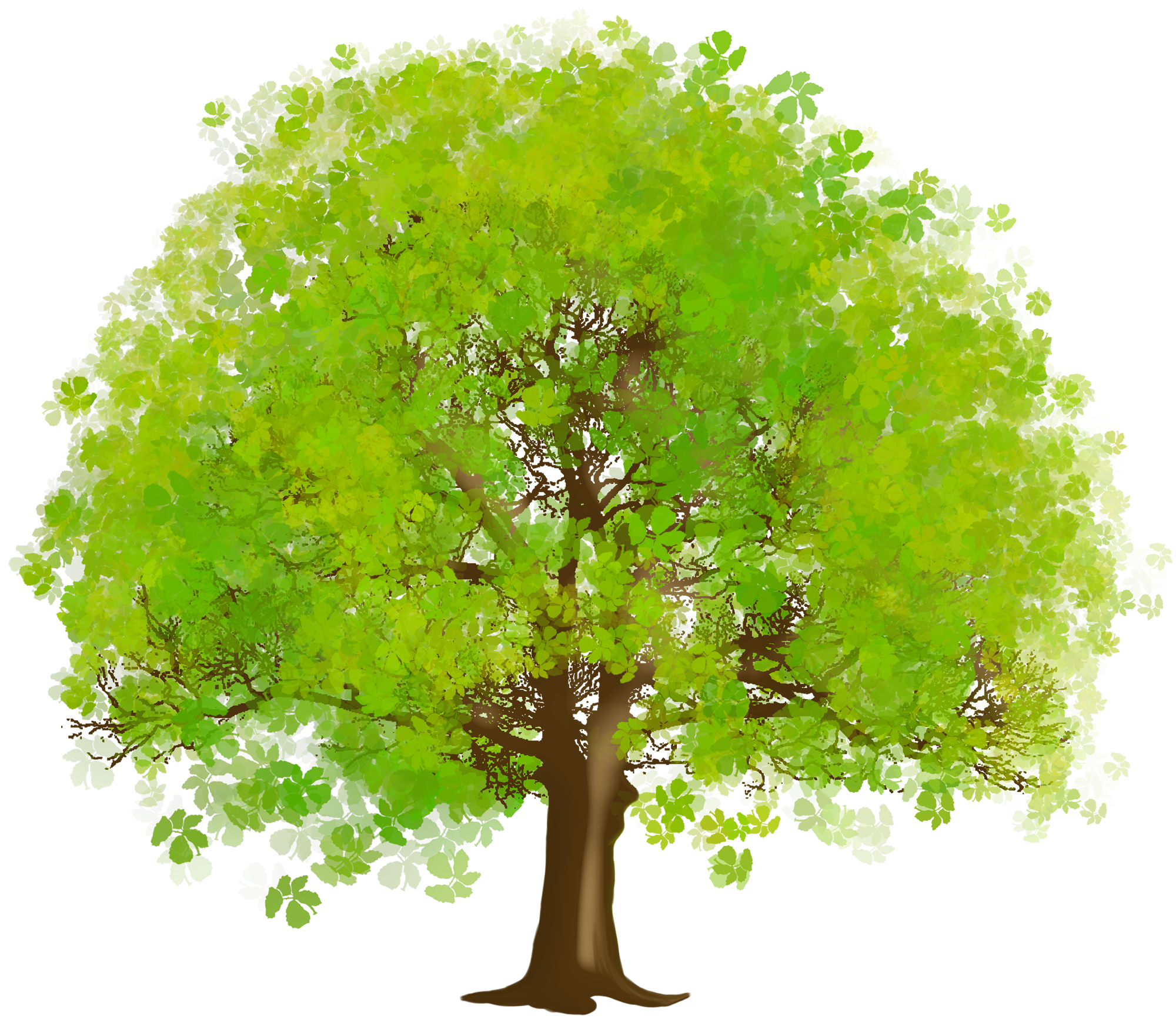 png clipart tree - photo #41