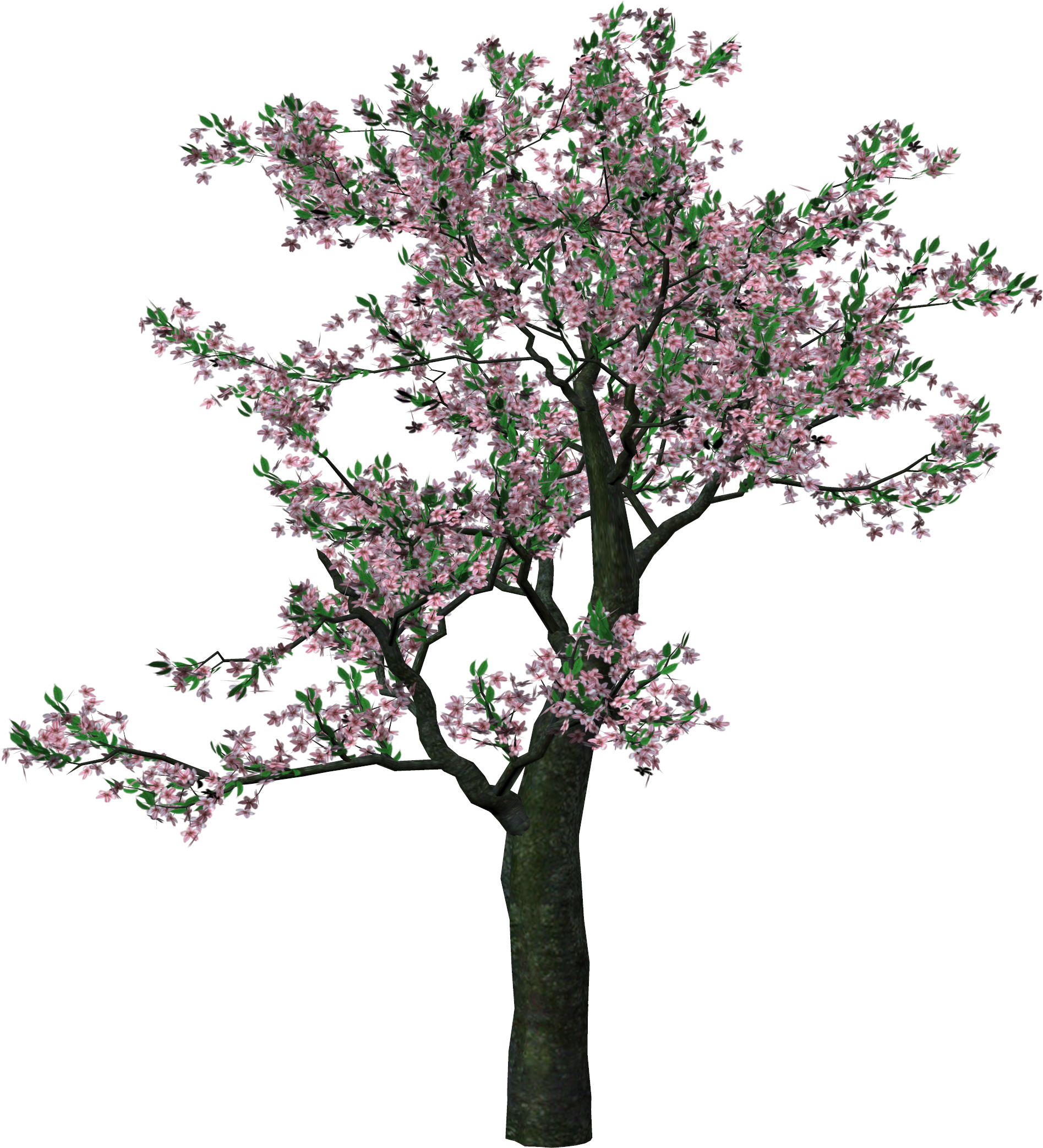 clipart spring trees - photo #25