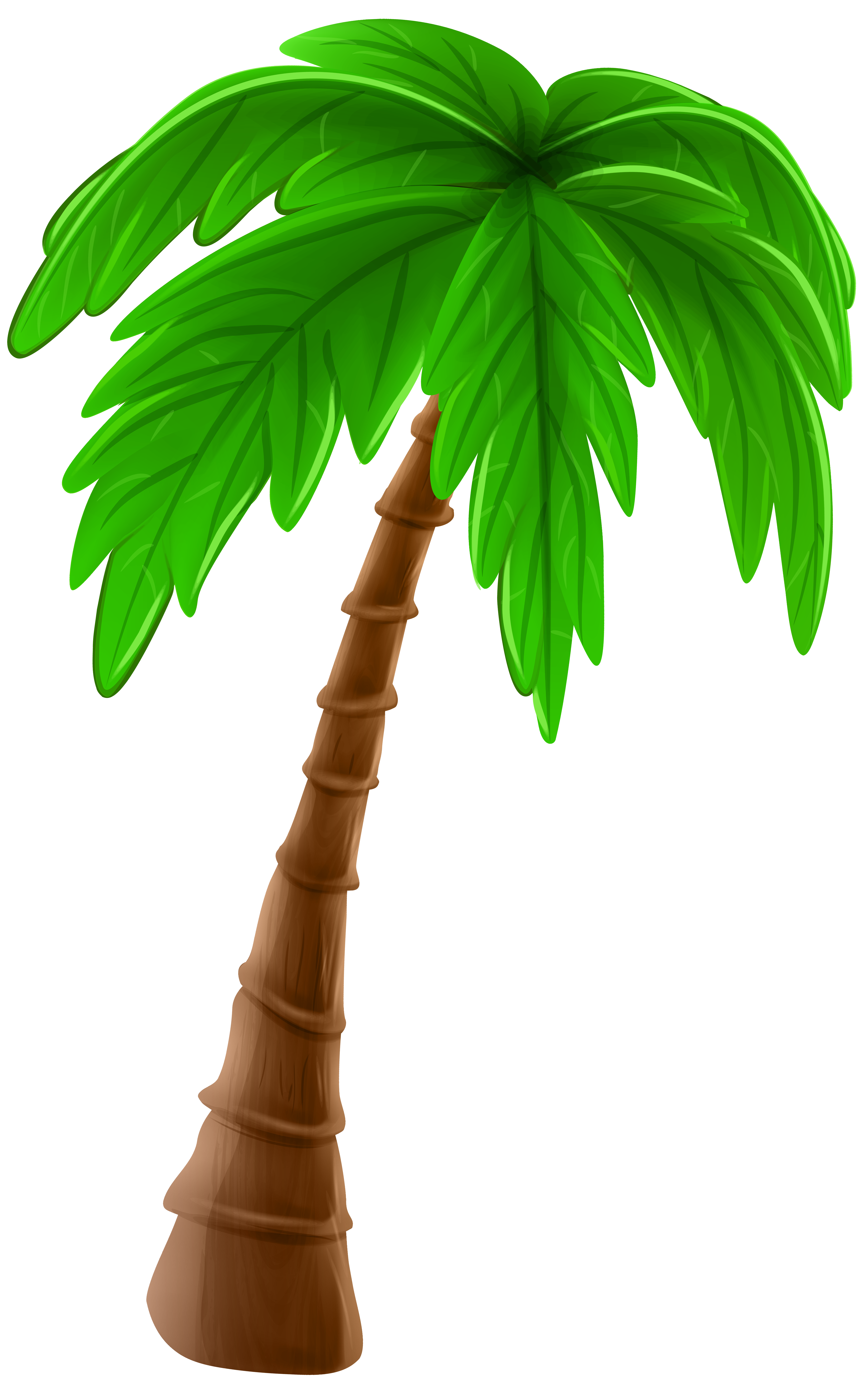 Palm Tree Cartoon PNG Clip Art Image | Gallery Yopriceville - High