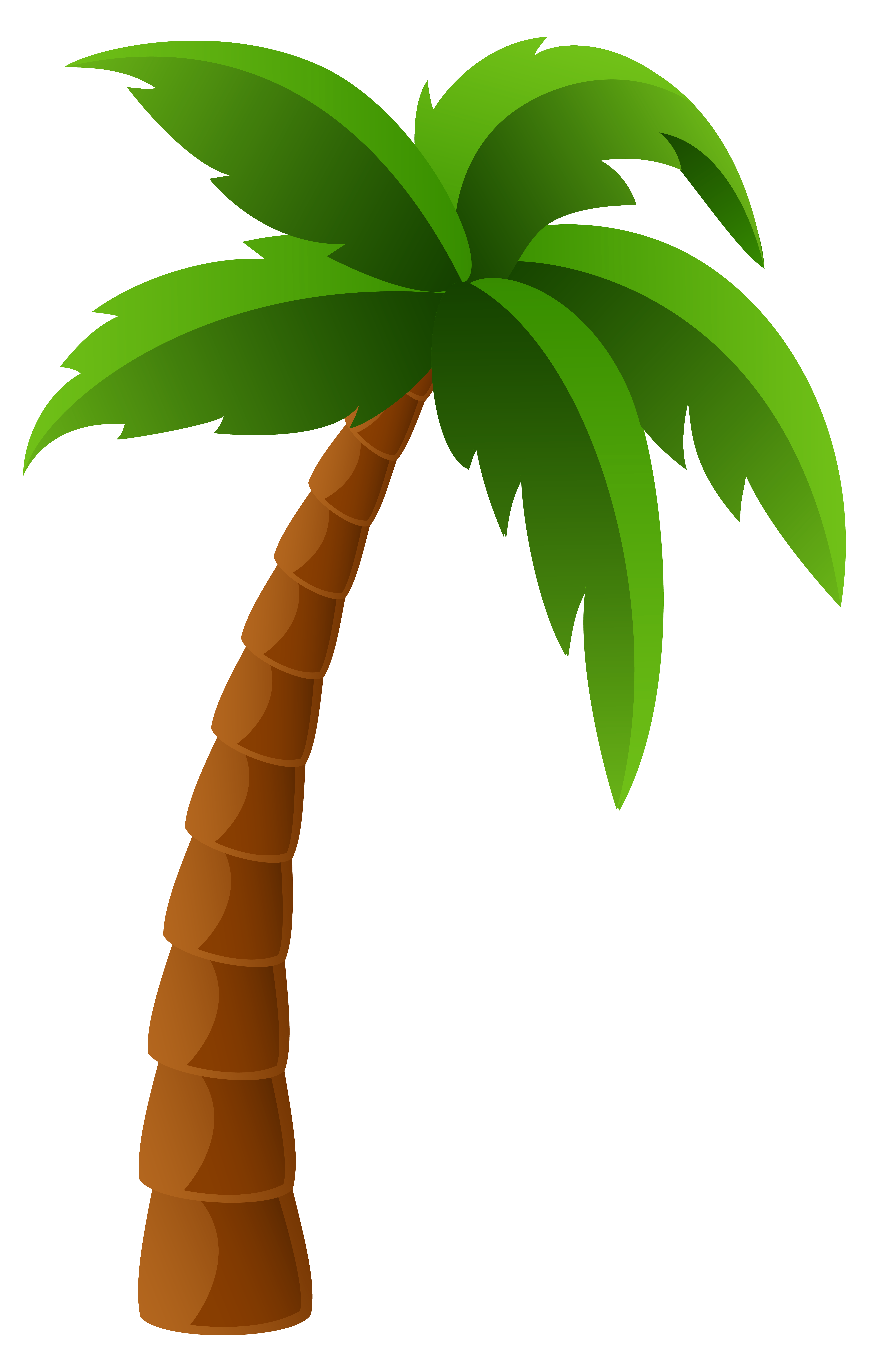free clipart of palm leaves - photo #10