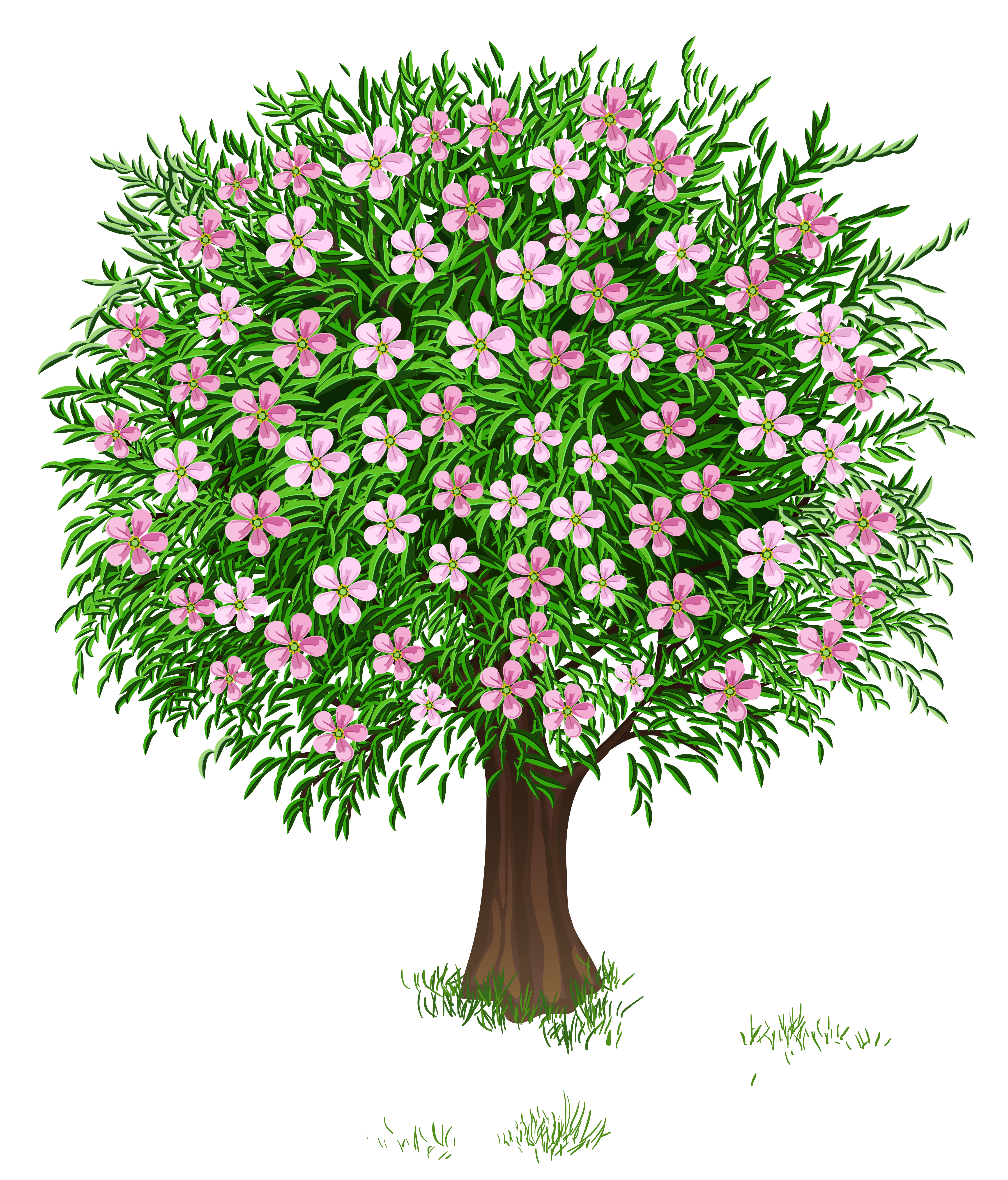 spring tree clipart - photo #31