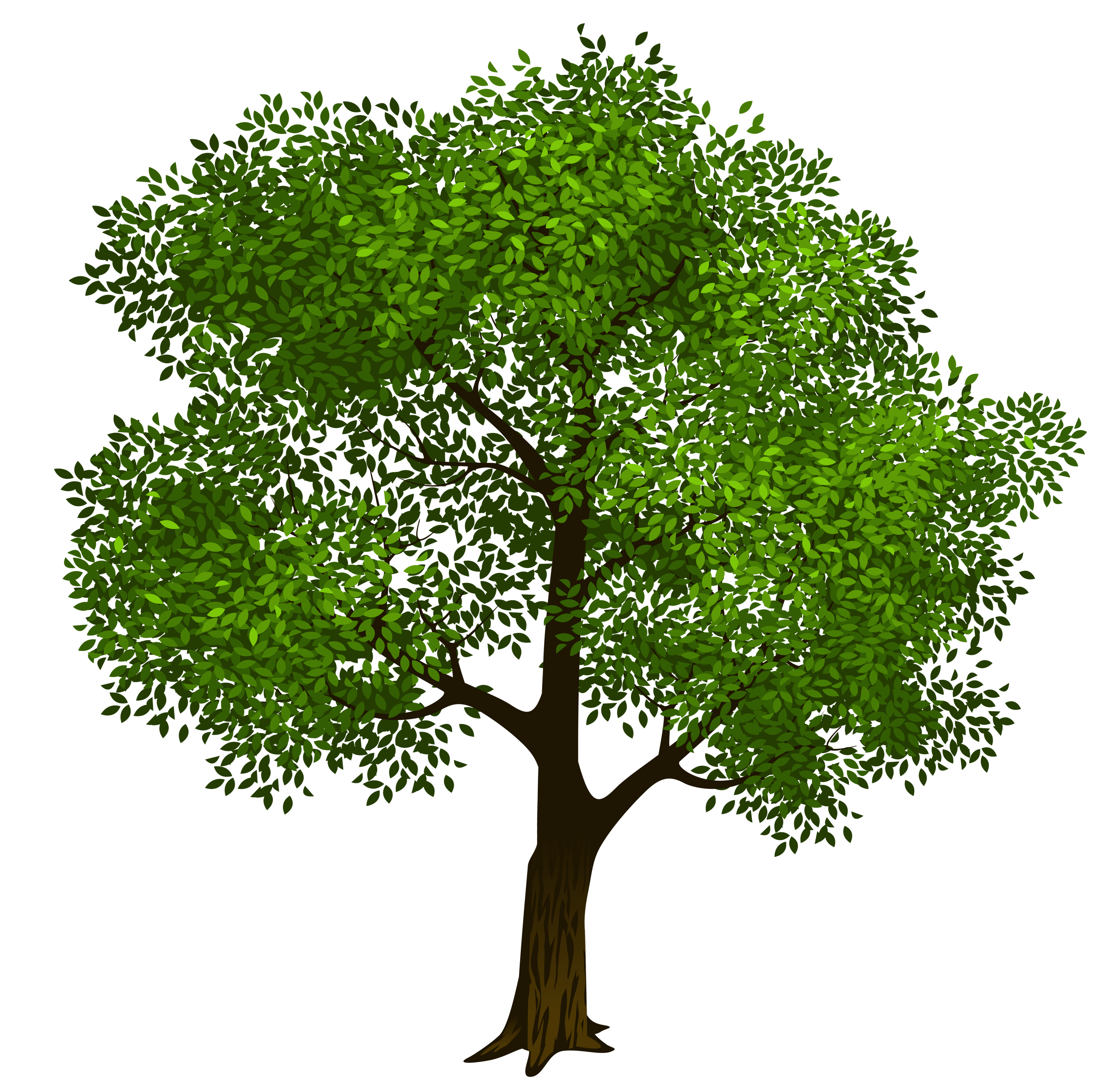clipart trees images - photo #46