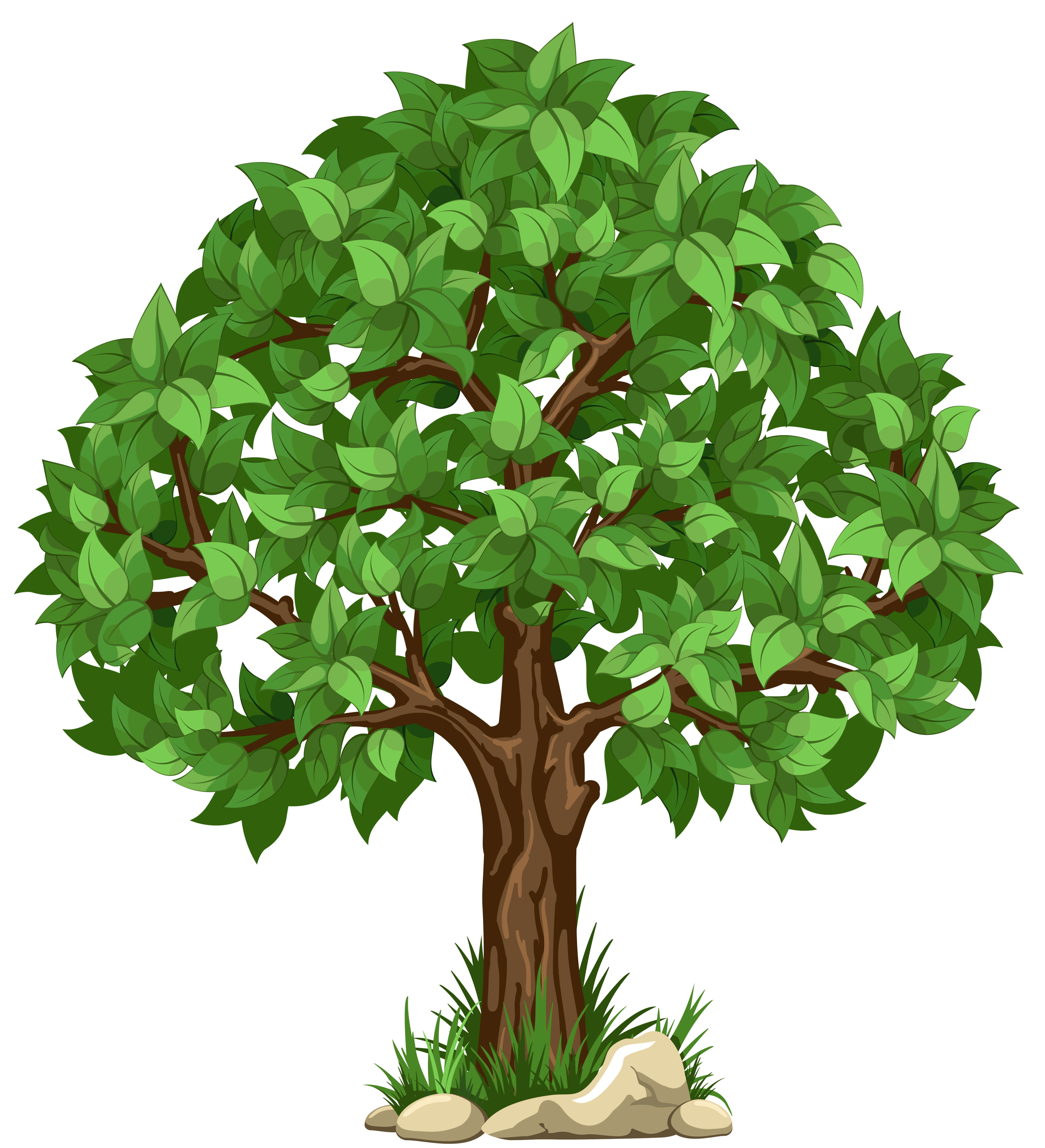 png clipart tree - photo #13