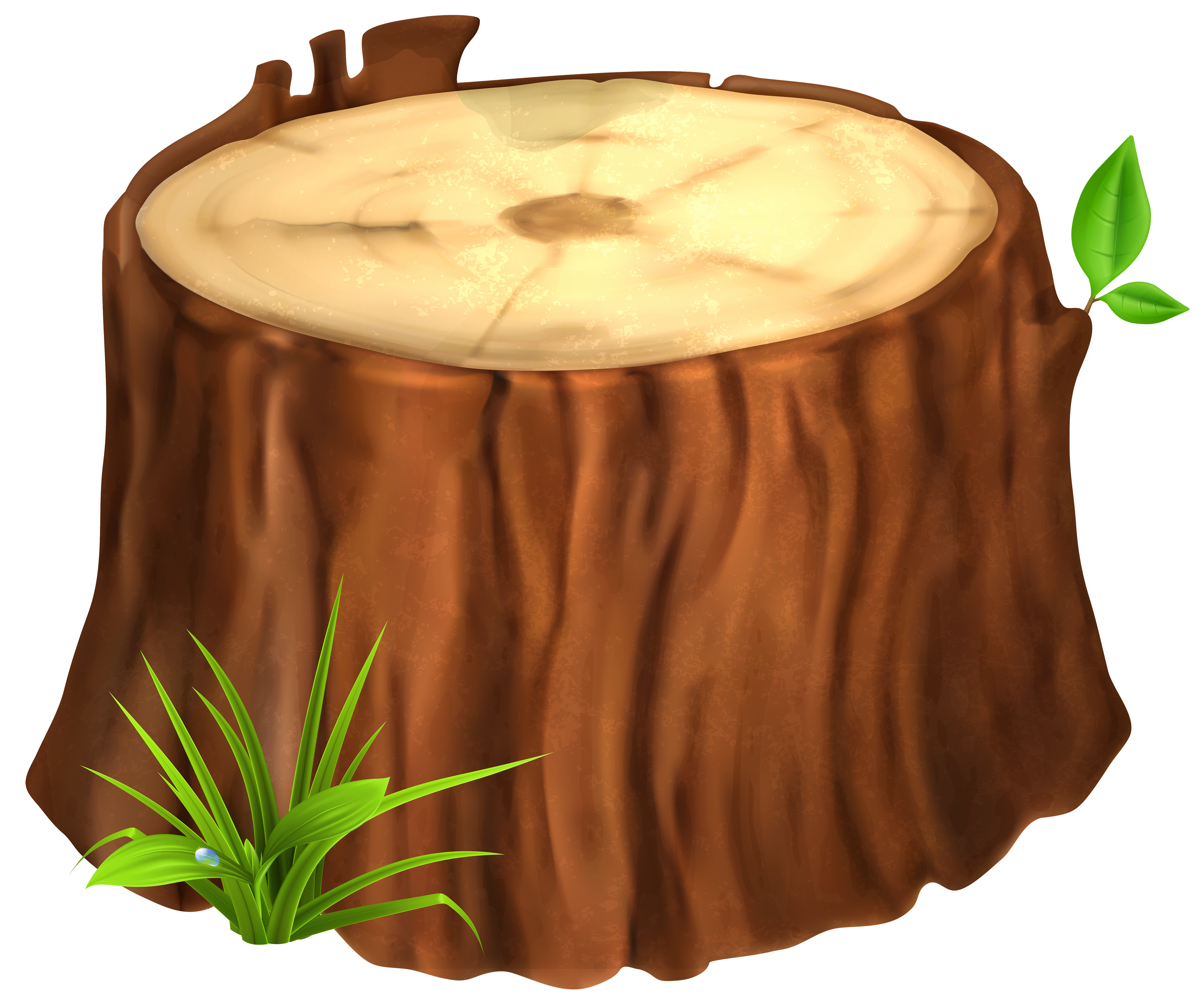 Tree Stump PNG Clipart Image | Gallery Yopriceville - High-Quality