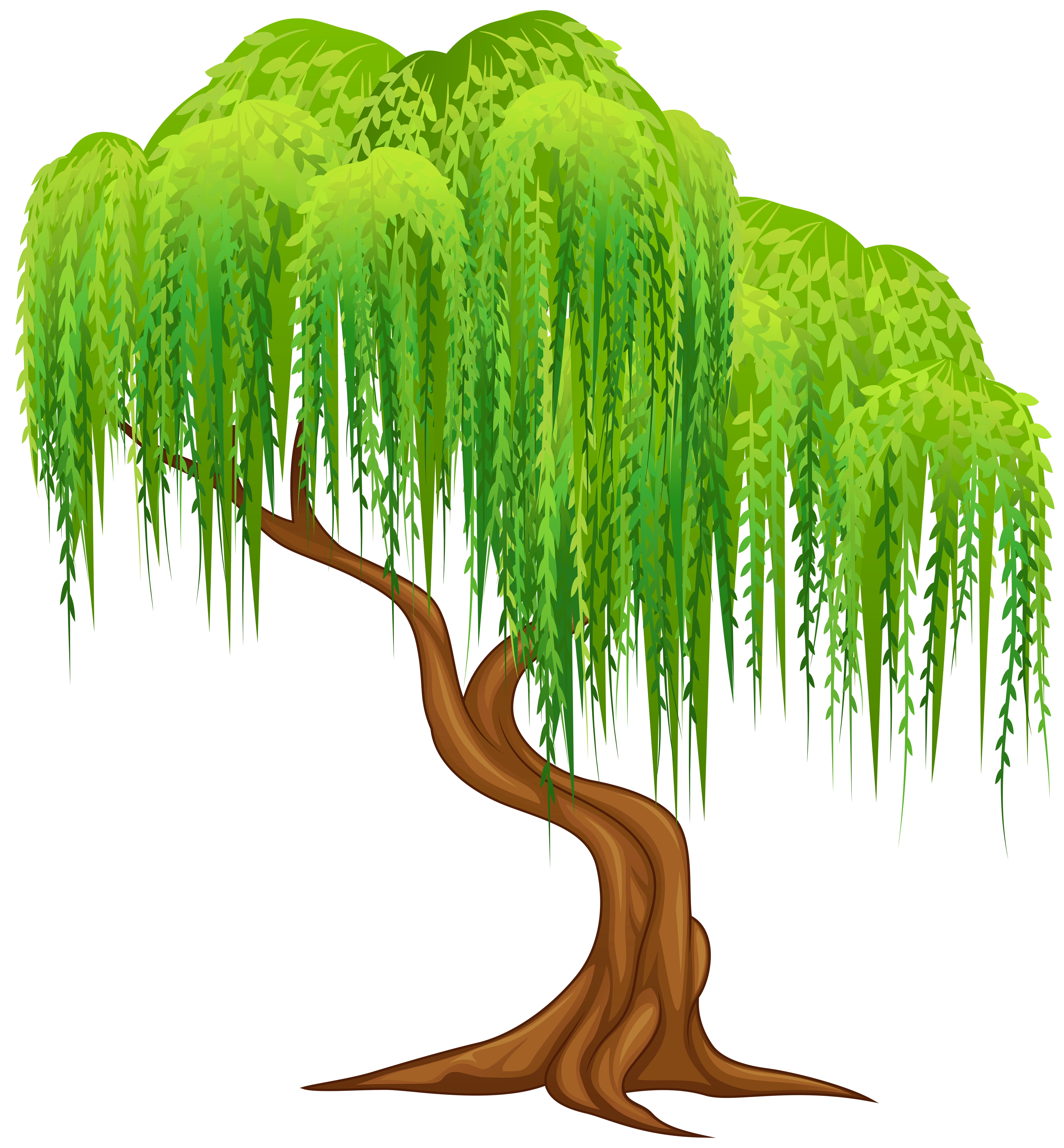 willow tree clip art images - photo #3