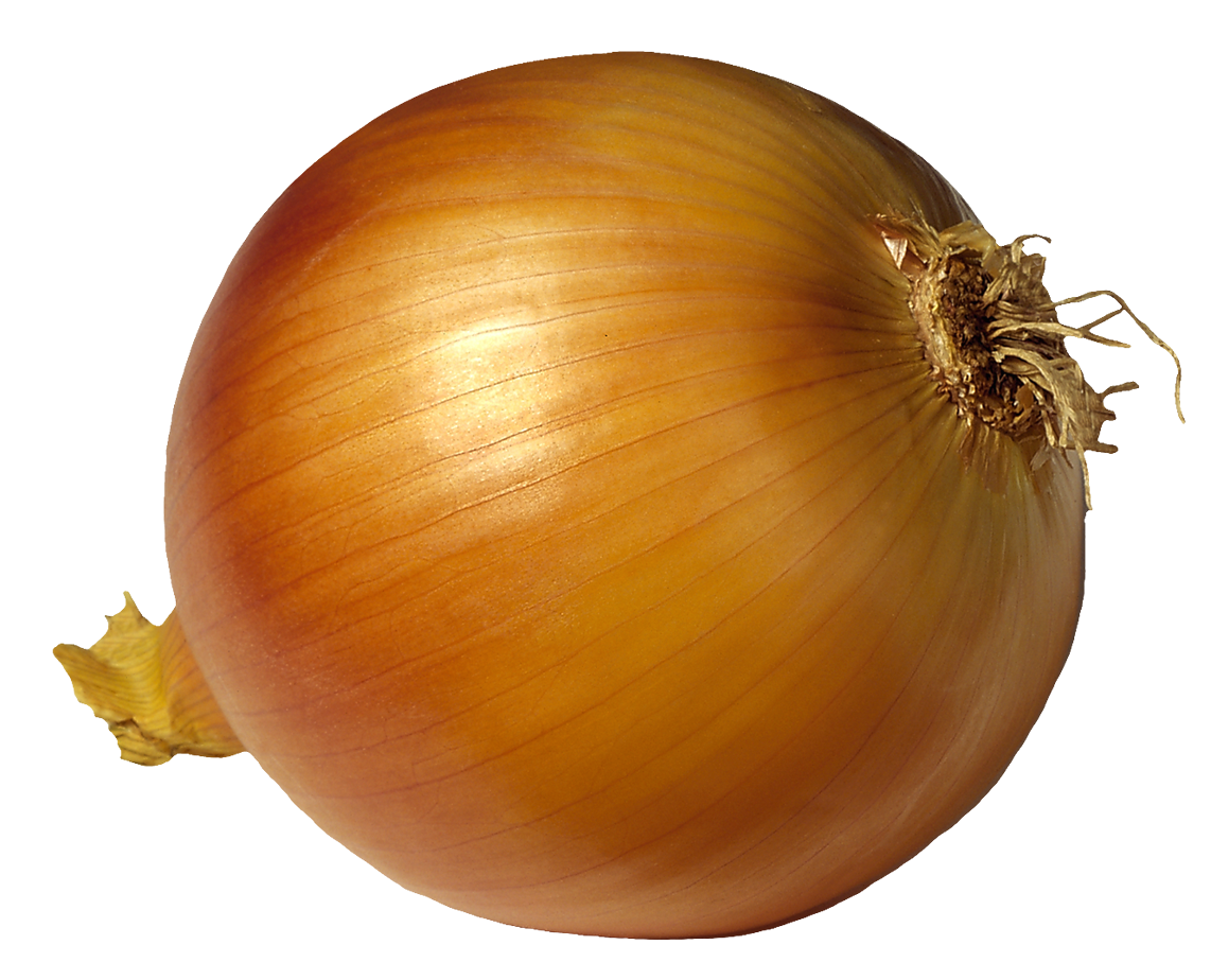 clipart onion - photo #34