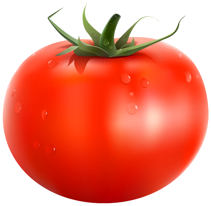 clipart of tomato - photo #36