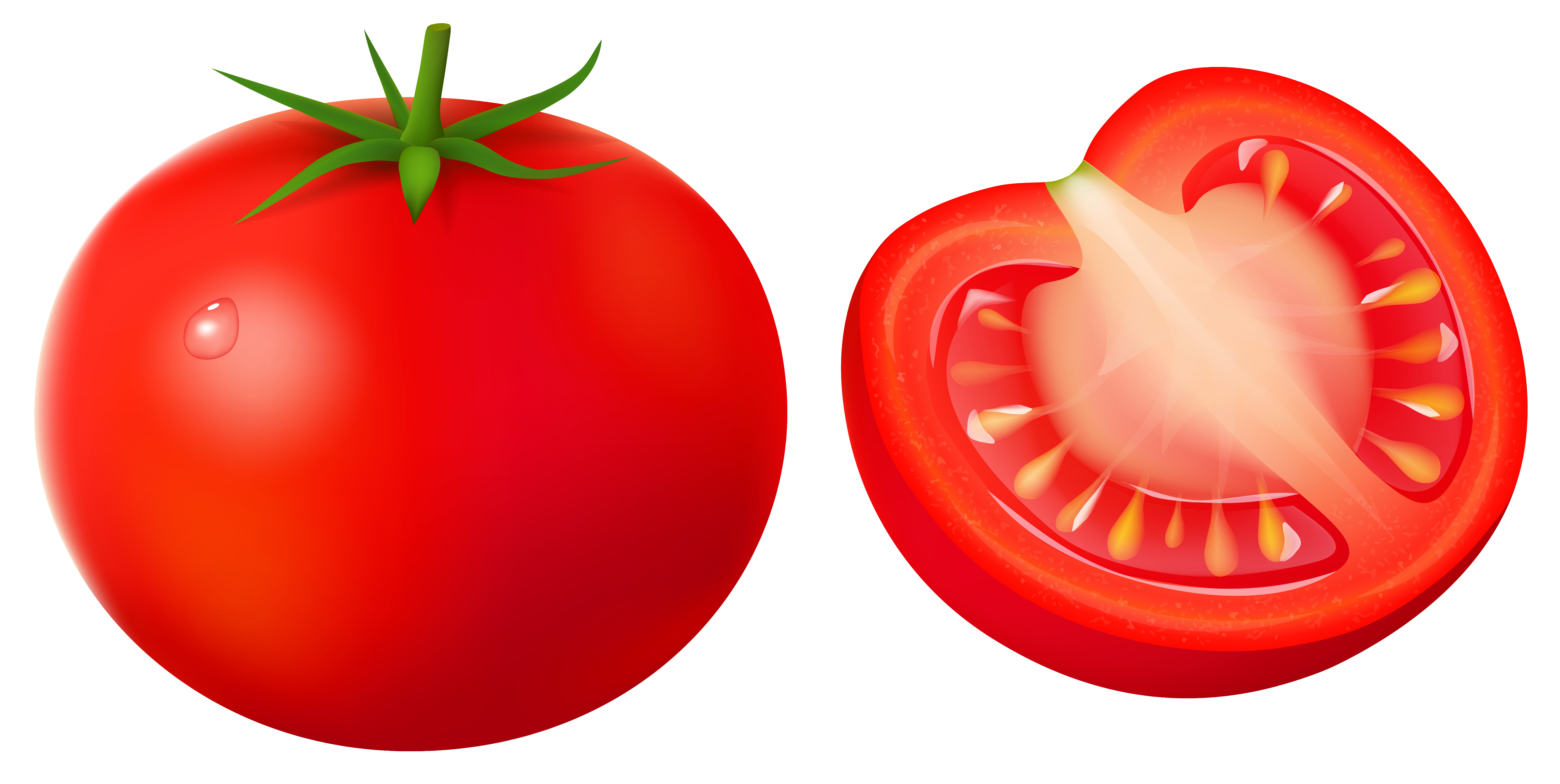 clipart of tomato - photo #46