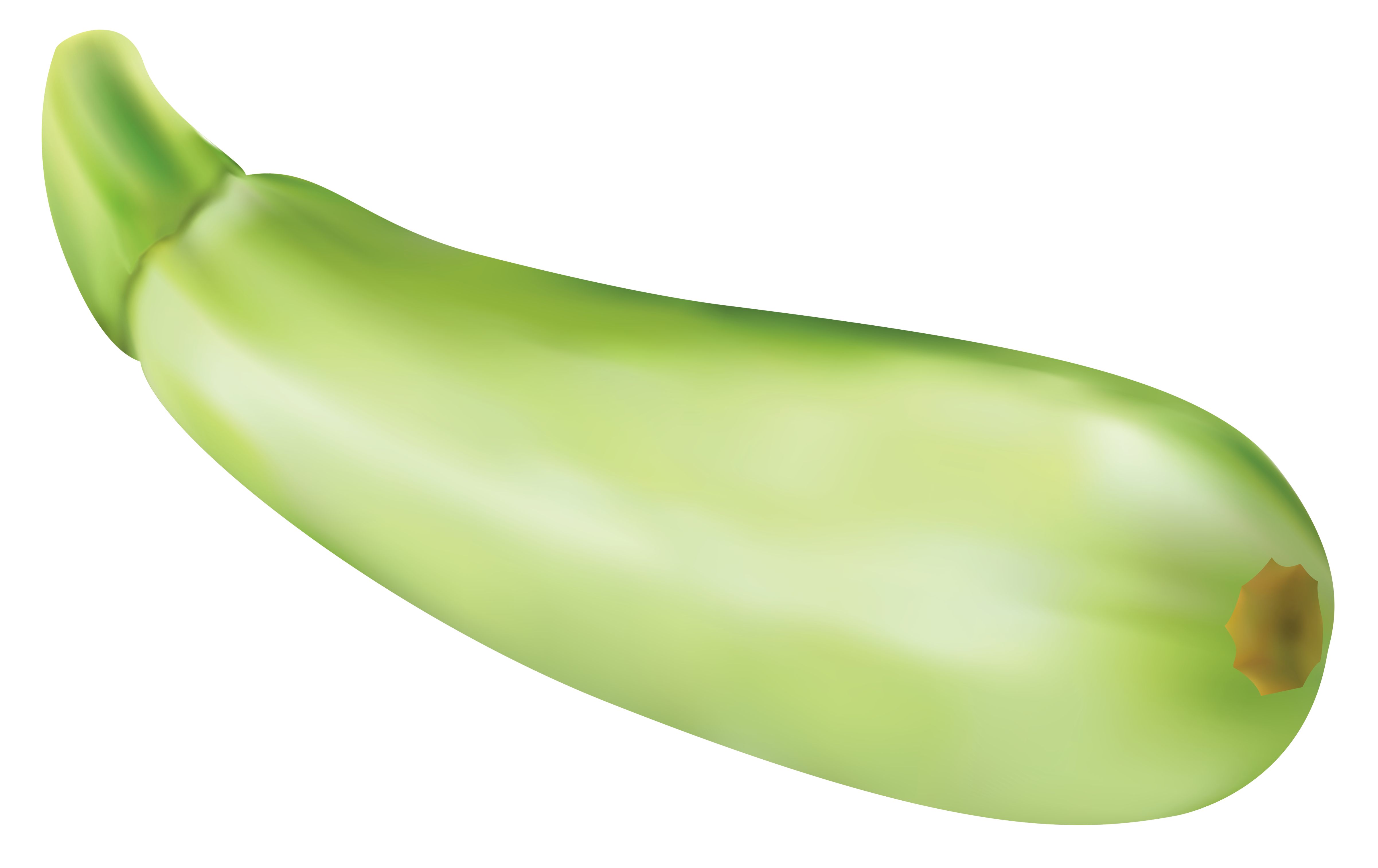 free clipart zucchini - photo #9