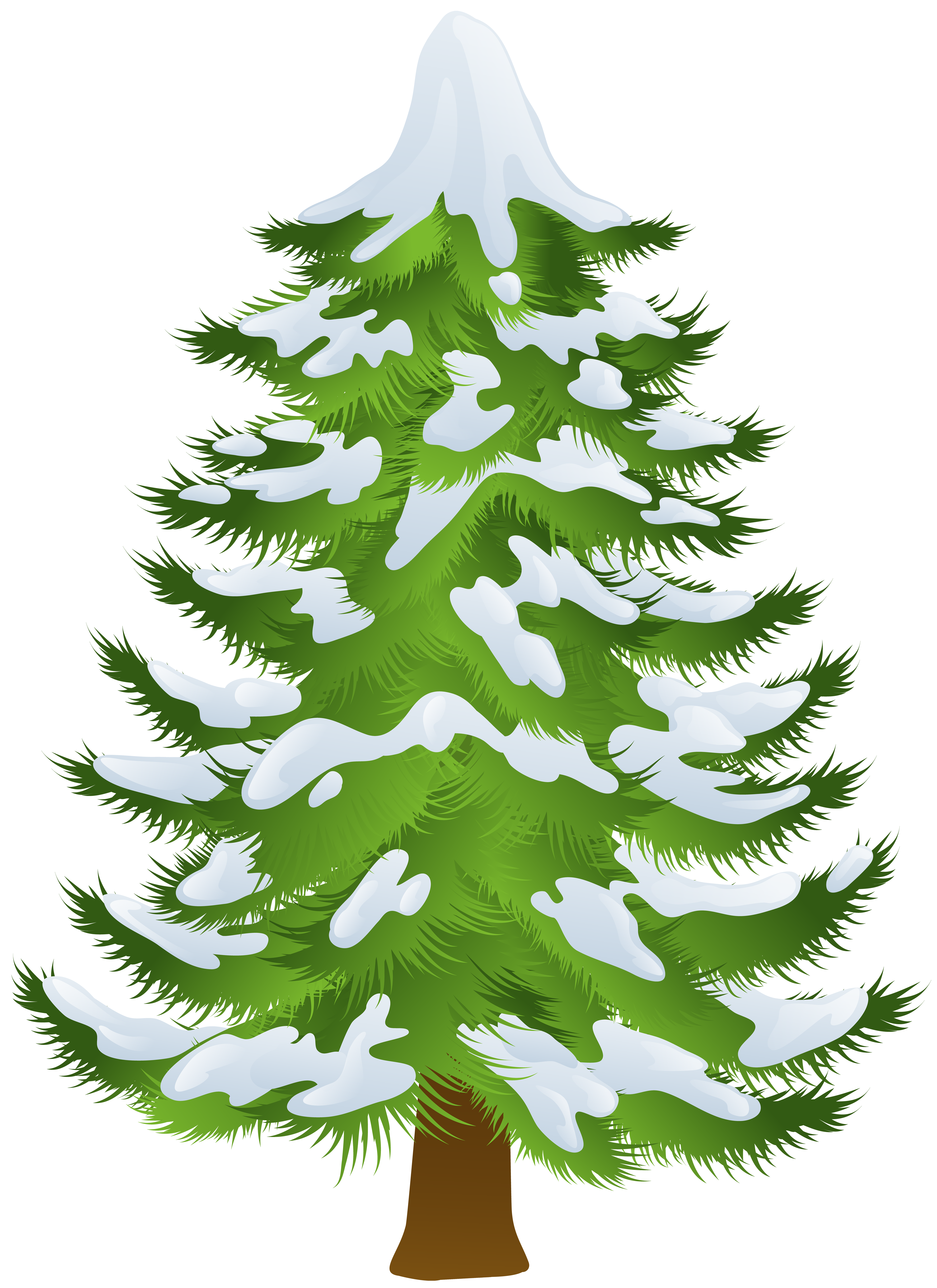 Winter Pine Tree Transparent PNG Clip Art | Gallery Yopriceville - High