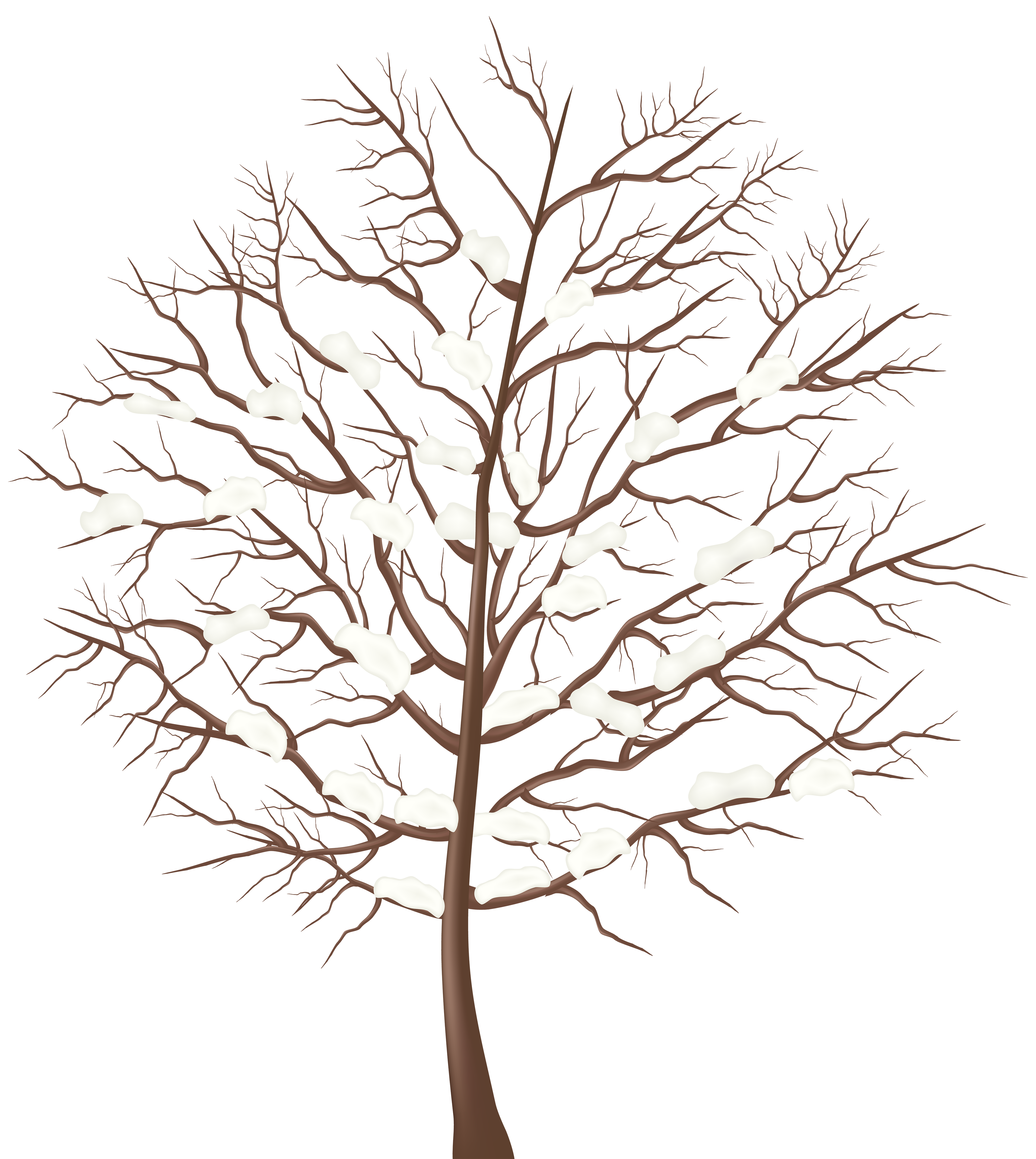 free clip art winter trees - photo #23