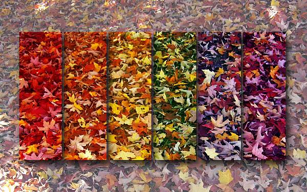 This jpeg image - FallLeaves, is available for free download