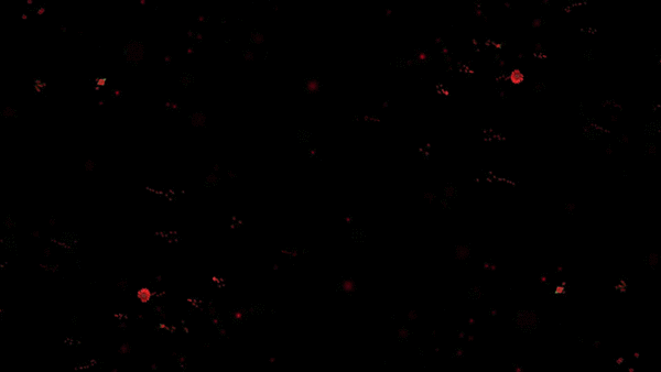 This gif image - Red Flowers Explosion Gif Animation, is available for free download