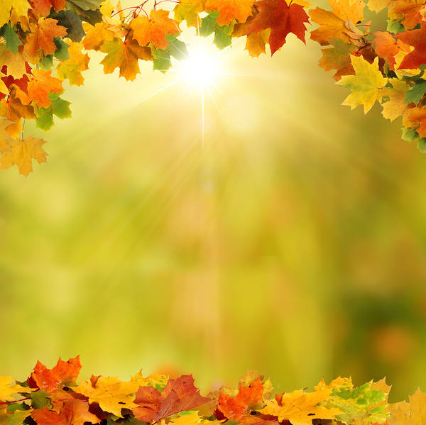 This jpeg image - Background with Autumn Leaves, is available for free download