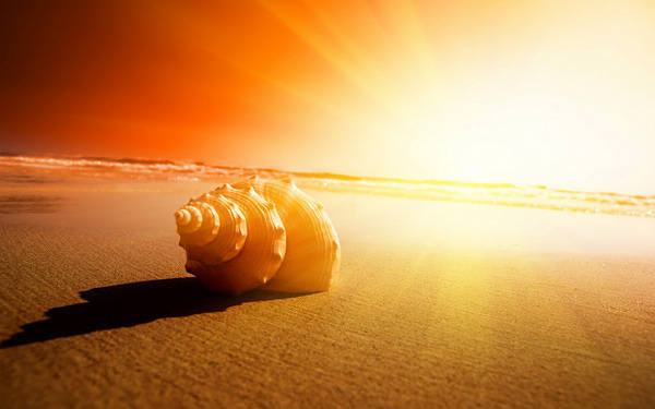This jpeg image - Beach Sunrise Background, is available for free download