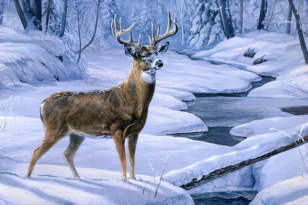 This jpeg image - Beautiful Winter Landscape with Deer Background, is available for free download