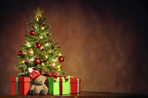 This jpeg image - Christmas Background with Christmas Tree and Teddy, is available for free download