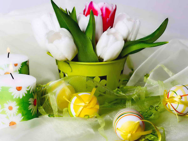 This jpeg image - Easter Background with Tulips, is available for free download