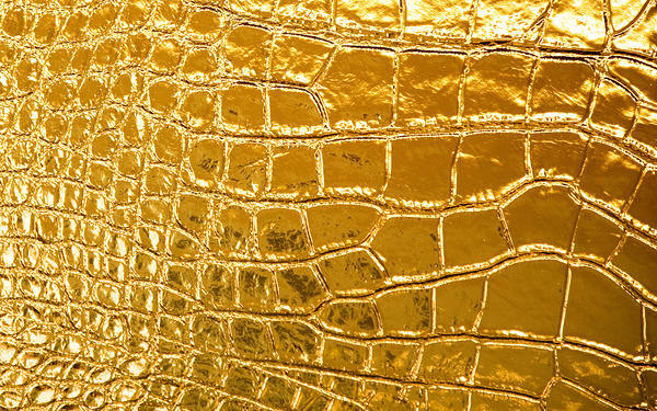 This jpeg image - Gold Skin Background, is available for free download