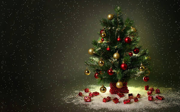 This jpeg image - Green Christmas Tree Background, is available for free download