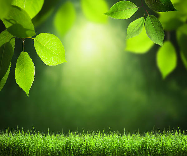 This jpeg image - Green Summer Background, is available for free download