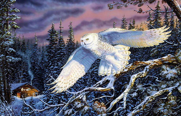 This jpeg image - Owl Flight Winter Painting Background, is available for free download
