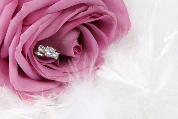 This jpeg image - Pink Rose Wedding Background, is available for free download