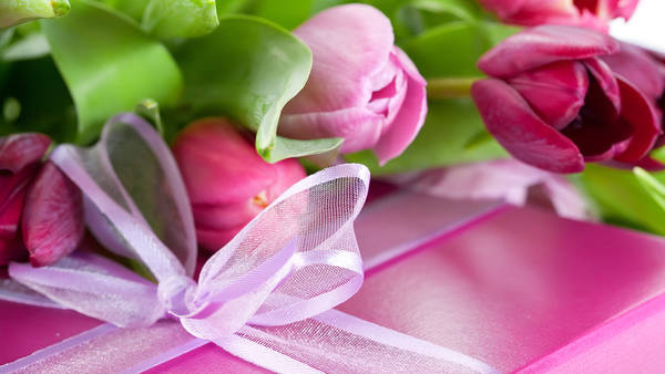 This jpeg image - Pink Tulips and Gift Background, is available for free download