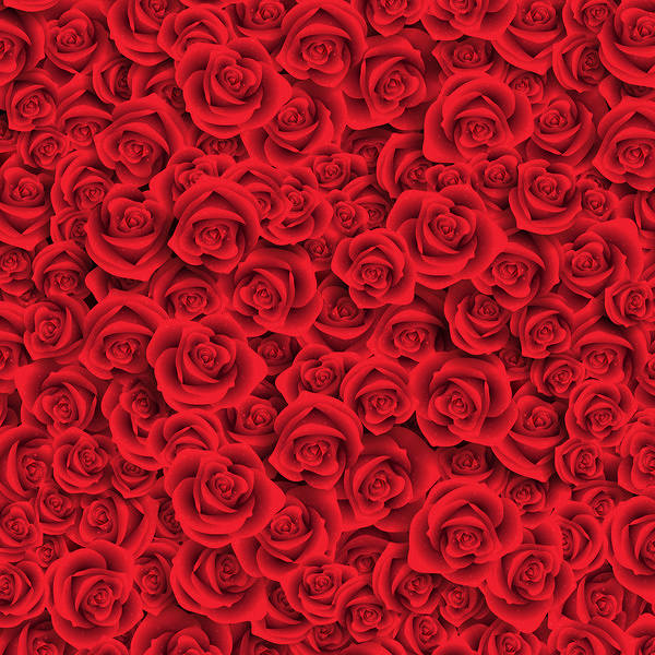 This jpeg image - Rose Red Background, is available for free download