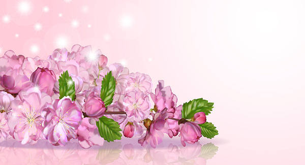 This jpeg image - Spring Floral Background, is available for free download