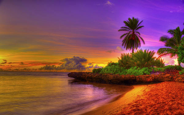 This jpeg image - Summer Exotic Beach Background, is available for free download