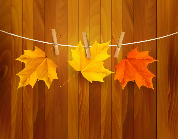 This jpeg image - Tree Fall Leaves Background, is available for free download