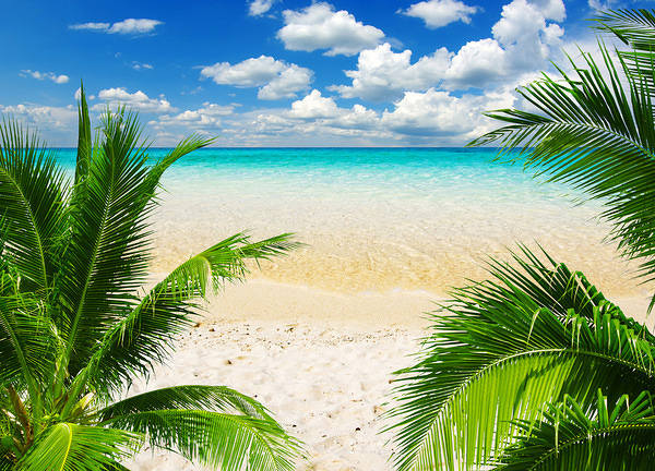 This jpeg image - Tropic Beach Background, is available for free download